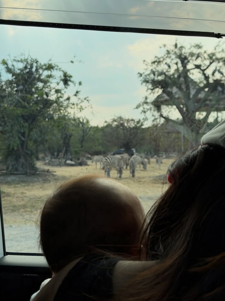 ใบเตย - สุวพิชญ์ ไตรพรวรกิจ