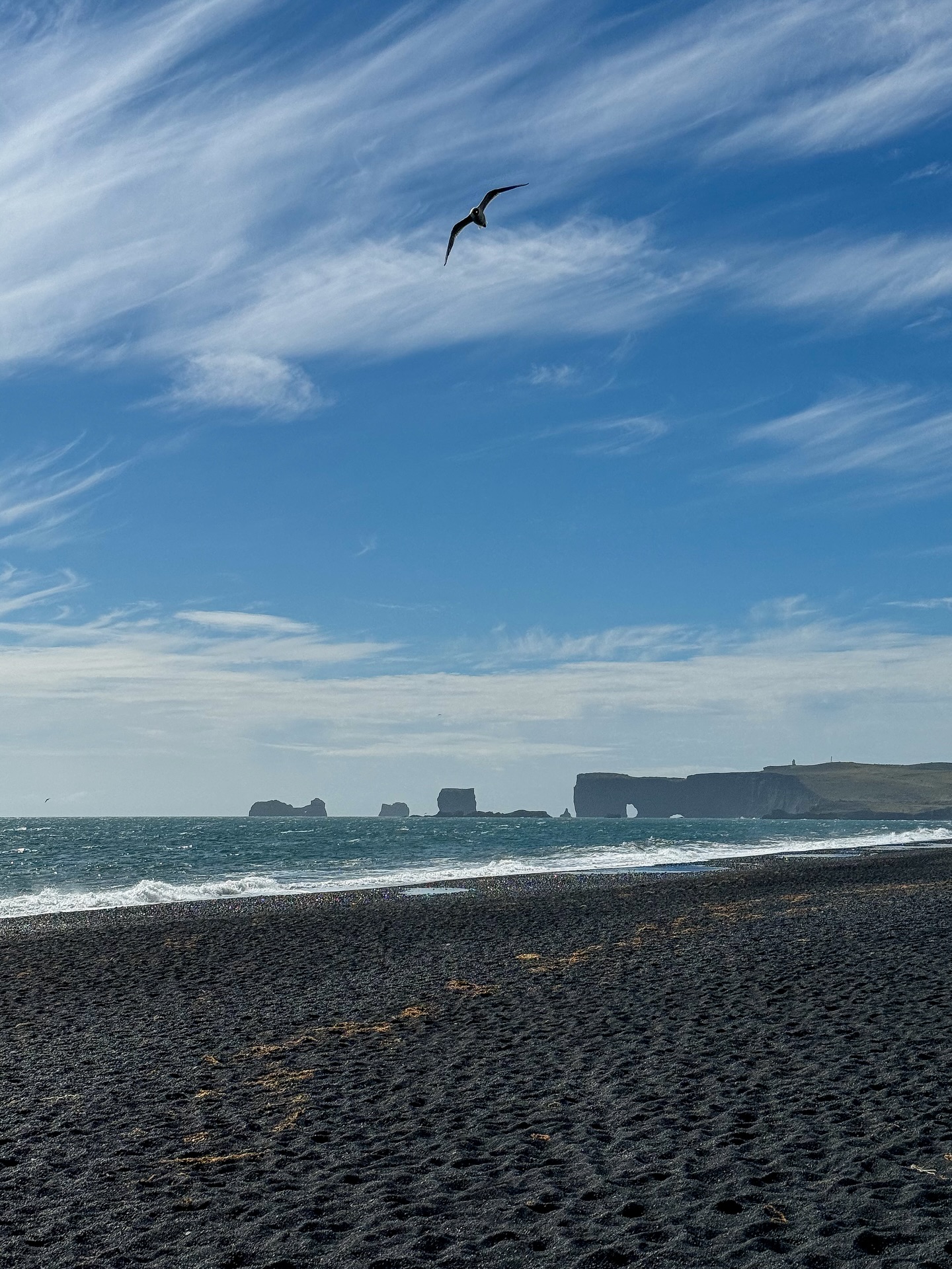 ใบเตย - สุวพิชญ์ ไตรพรวรกิจ