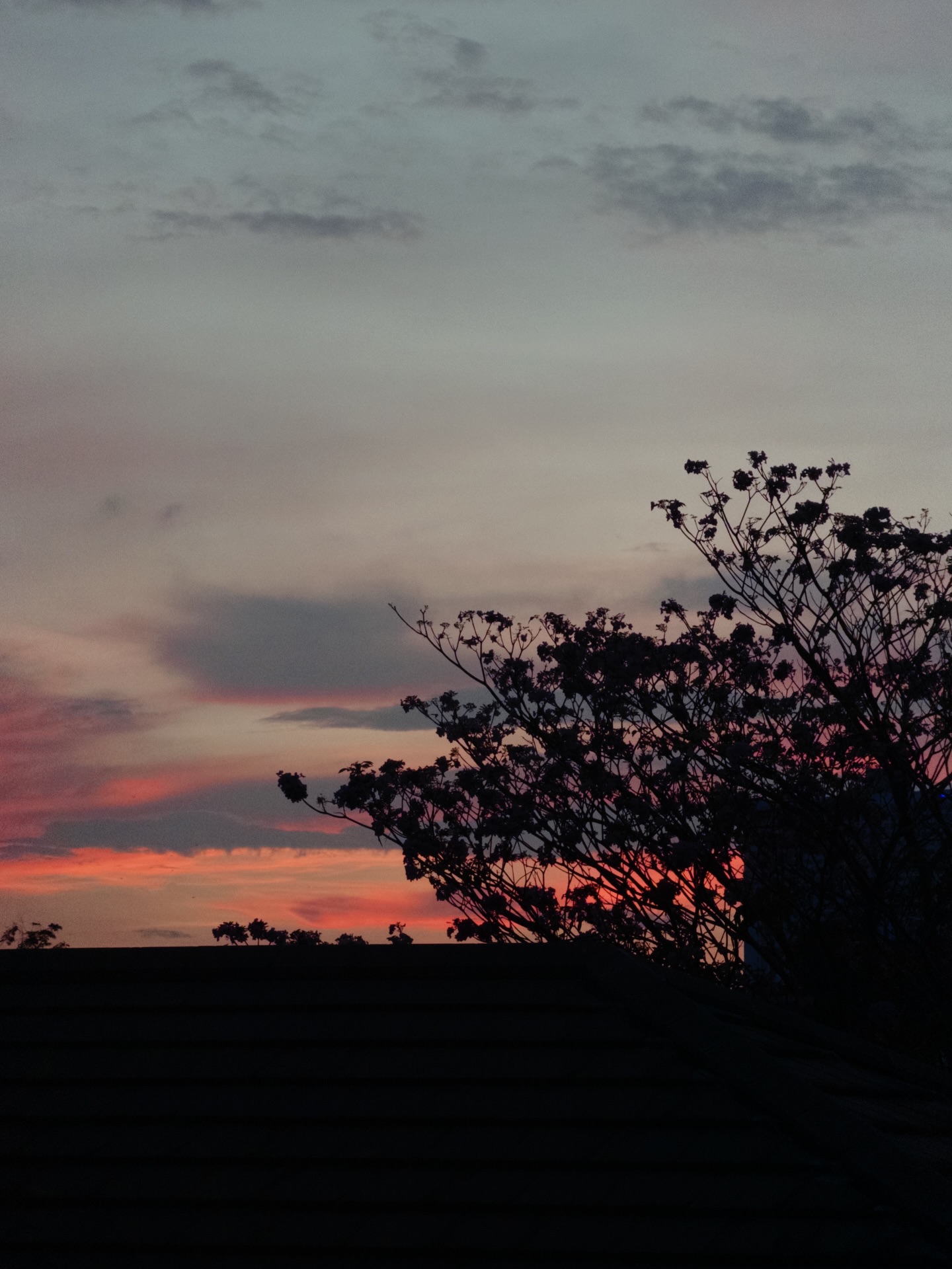 ใบเตย - สุวพิชญ์ ไตรพรวรกิจ