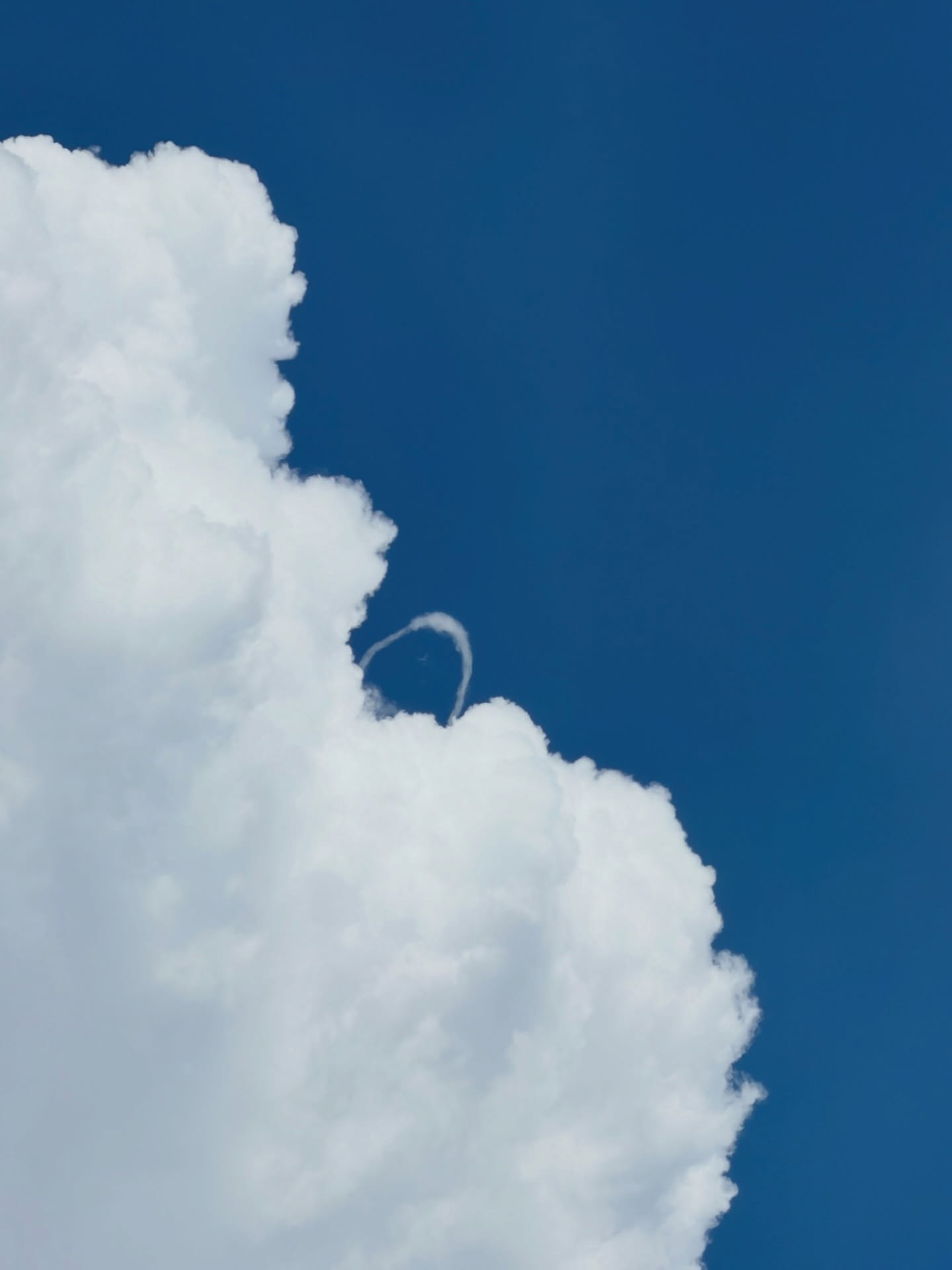 ใบเตย - สุวพิชญ์ ไตรพรวรกิจ