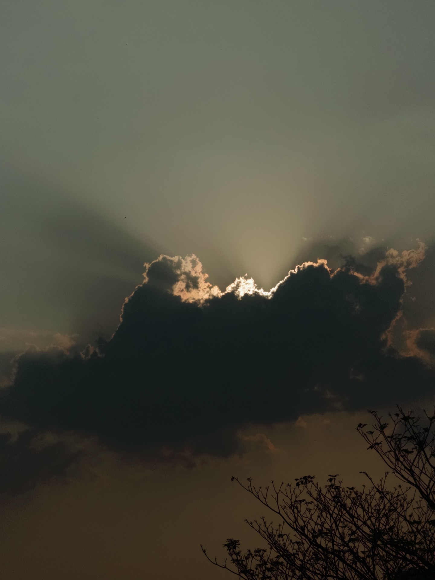 ใบเตย - สุวพิชญ์ ไตรพรวรกิจ