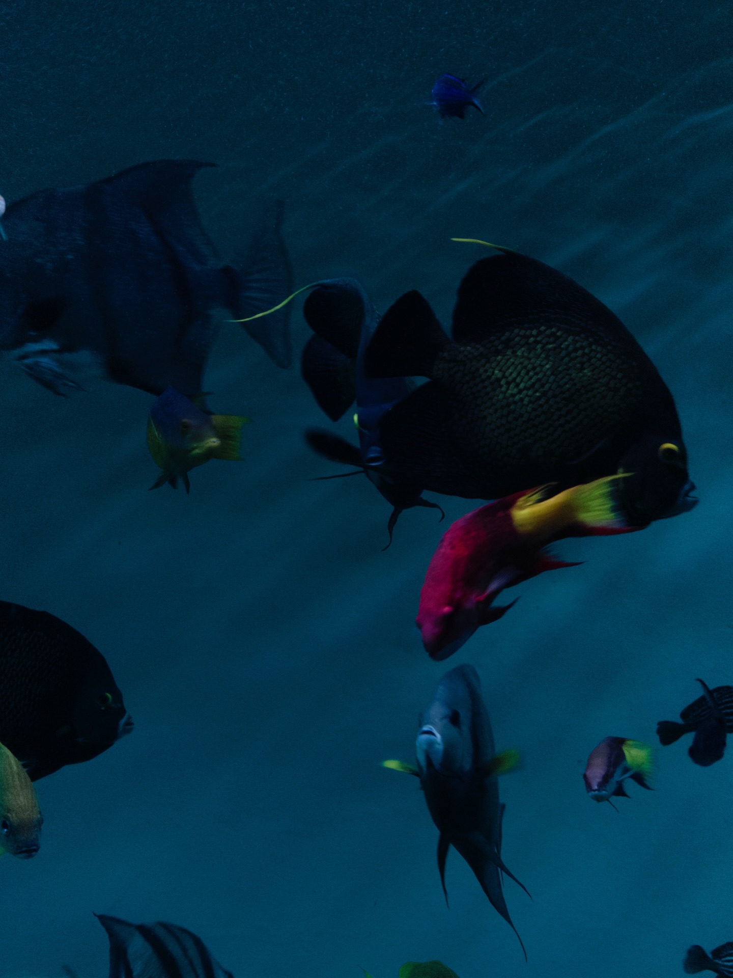 ใบเตย - สุวพิชญ์ ไตรพรวรกิจ