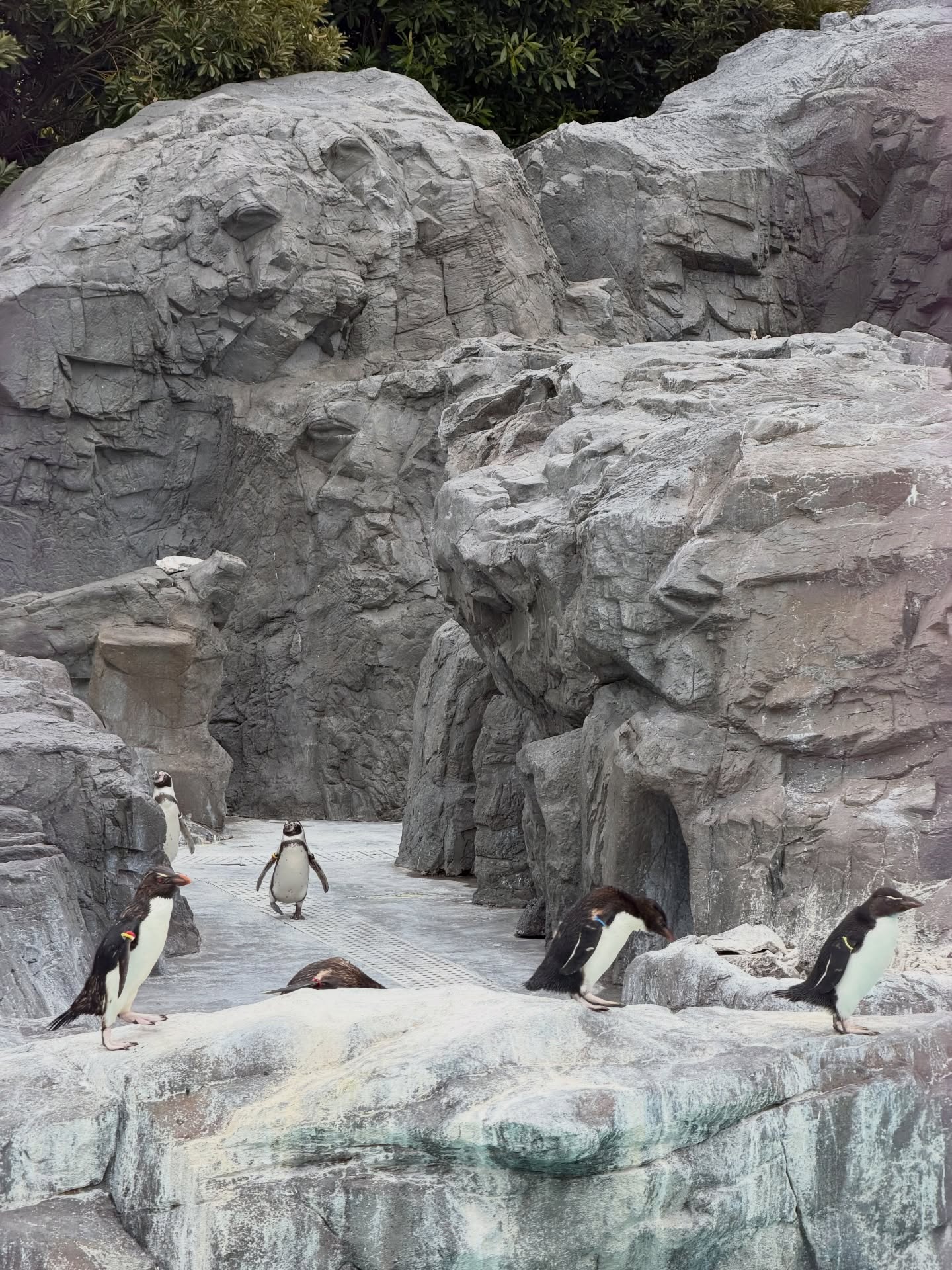 ใบเตย - สุวพิชญ์ ไตรพรวรกิจ