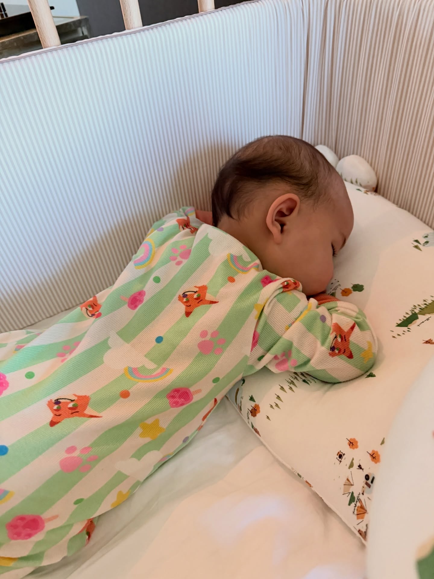 ใบเตย - สุวพิชญ์ ไตรพรวรกิจ