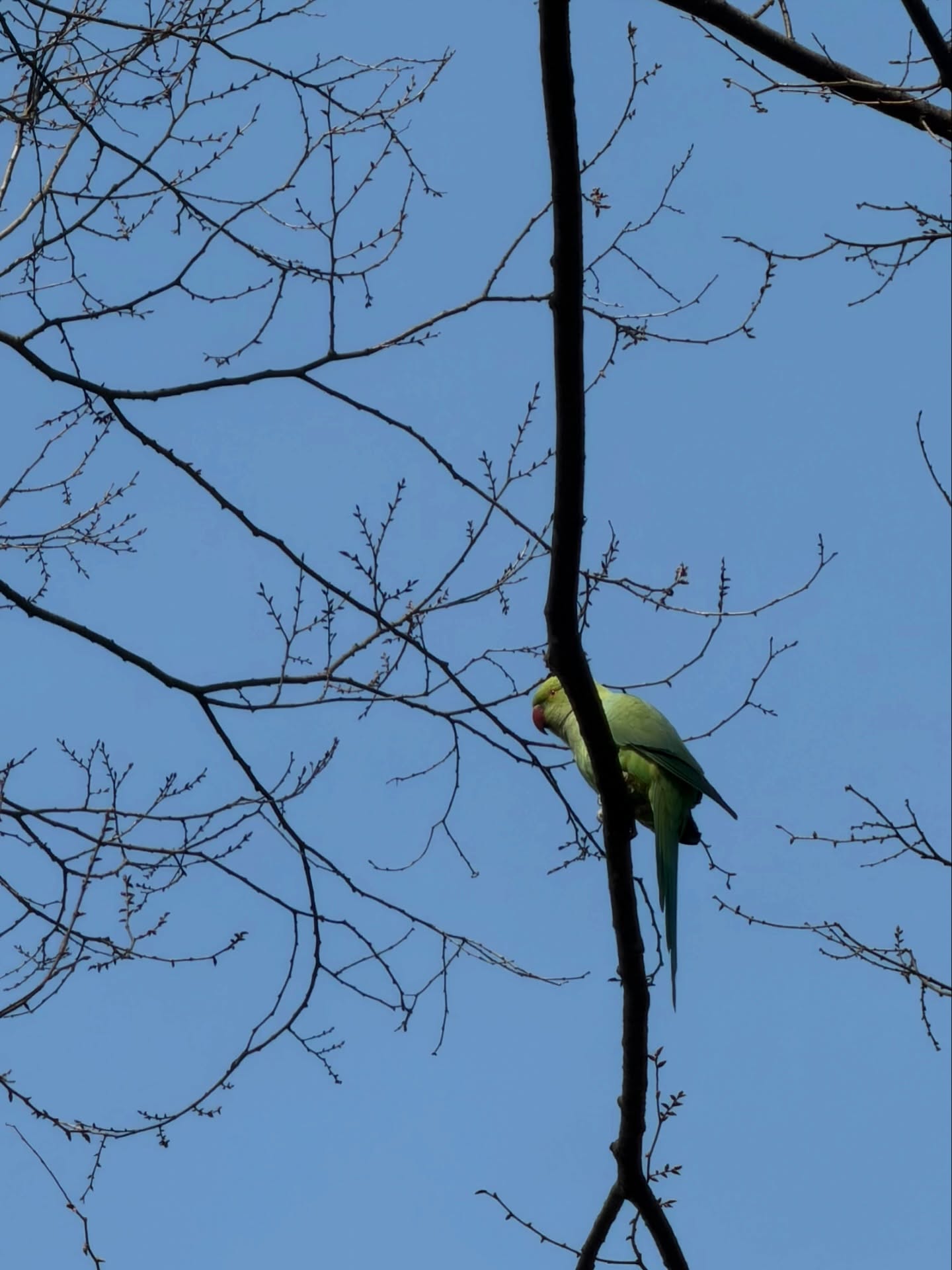 ใบเตย - สุวพิชญ์ ไตรพรวรกิจ