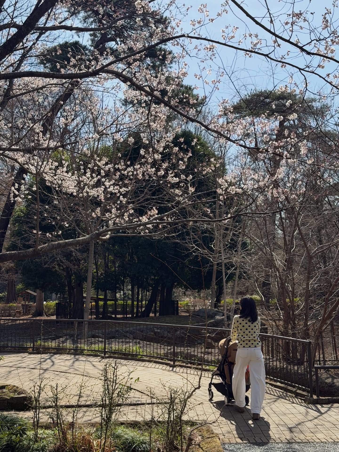 ใบเตย - สุวพิชญ์ ไตรพรวรกิจ