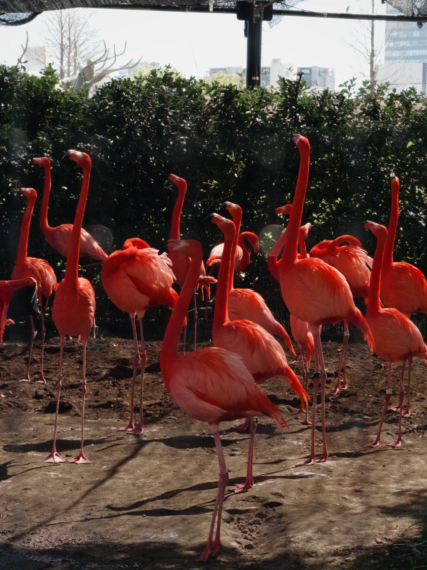 ใบเตย - สุวพิชญ์ ไตรพรวรกิจ