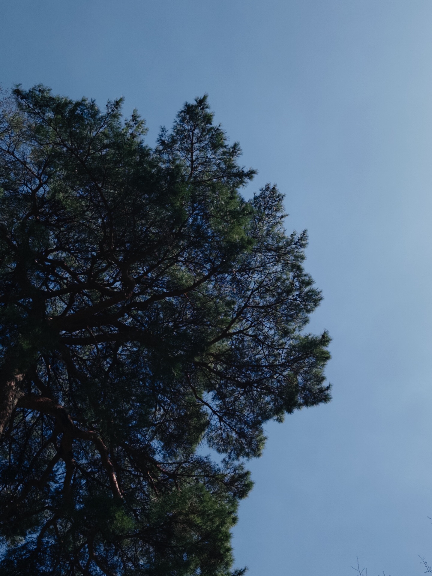 ใบเตย - สุวพิชญ์ ไตรพรวรกิจ