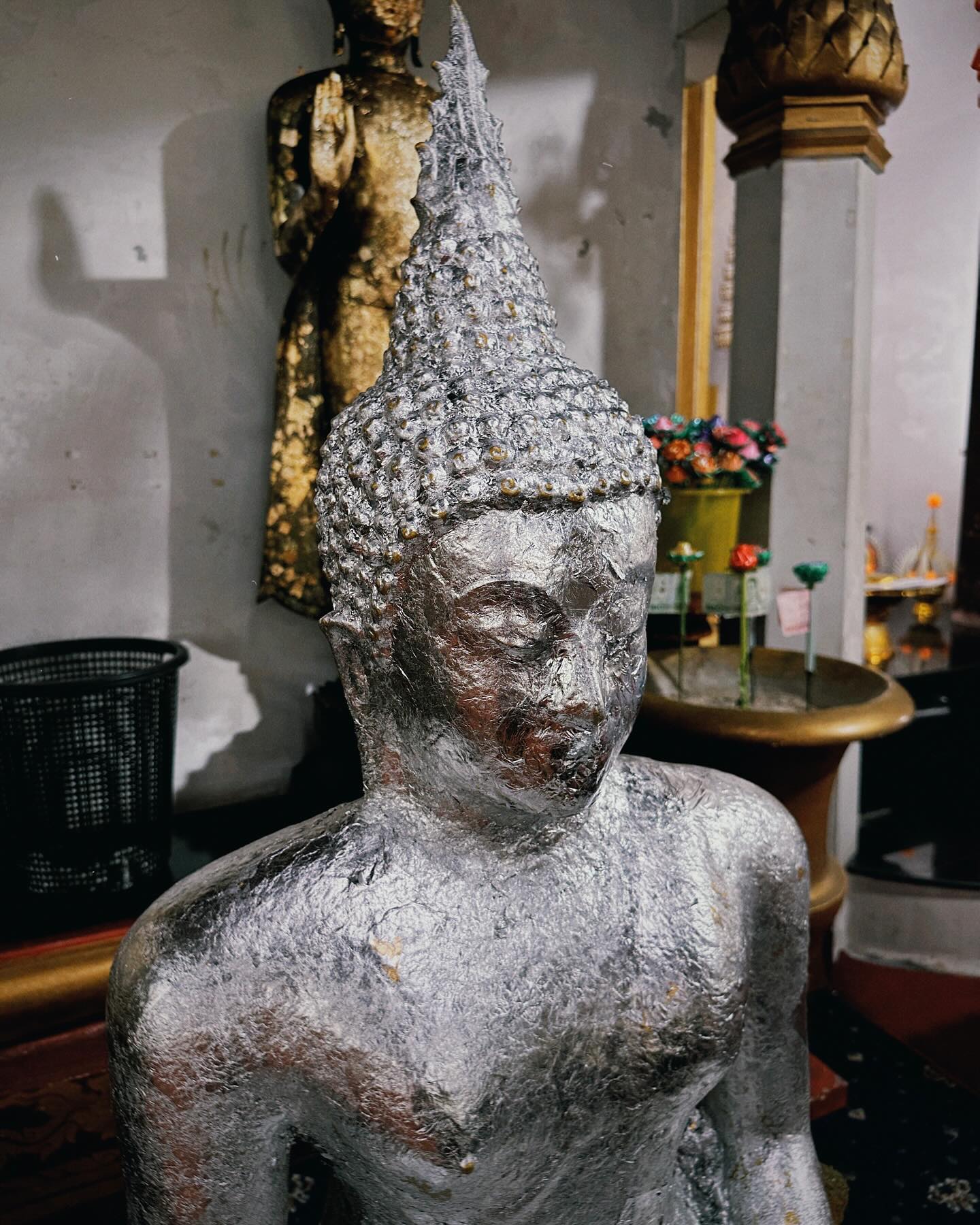 ติ๊นา - ศุภนาฎ จิตตลีลา