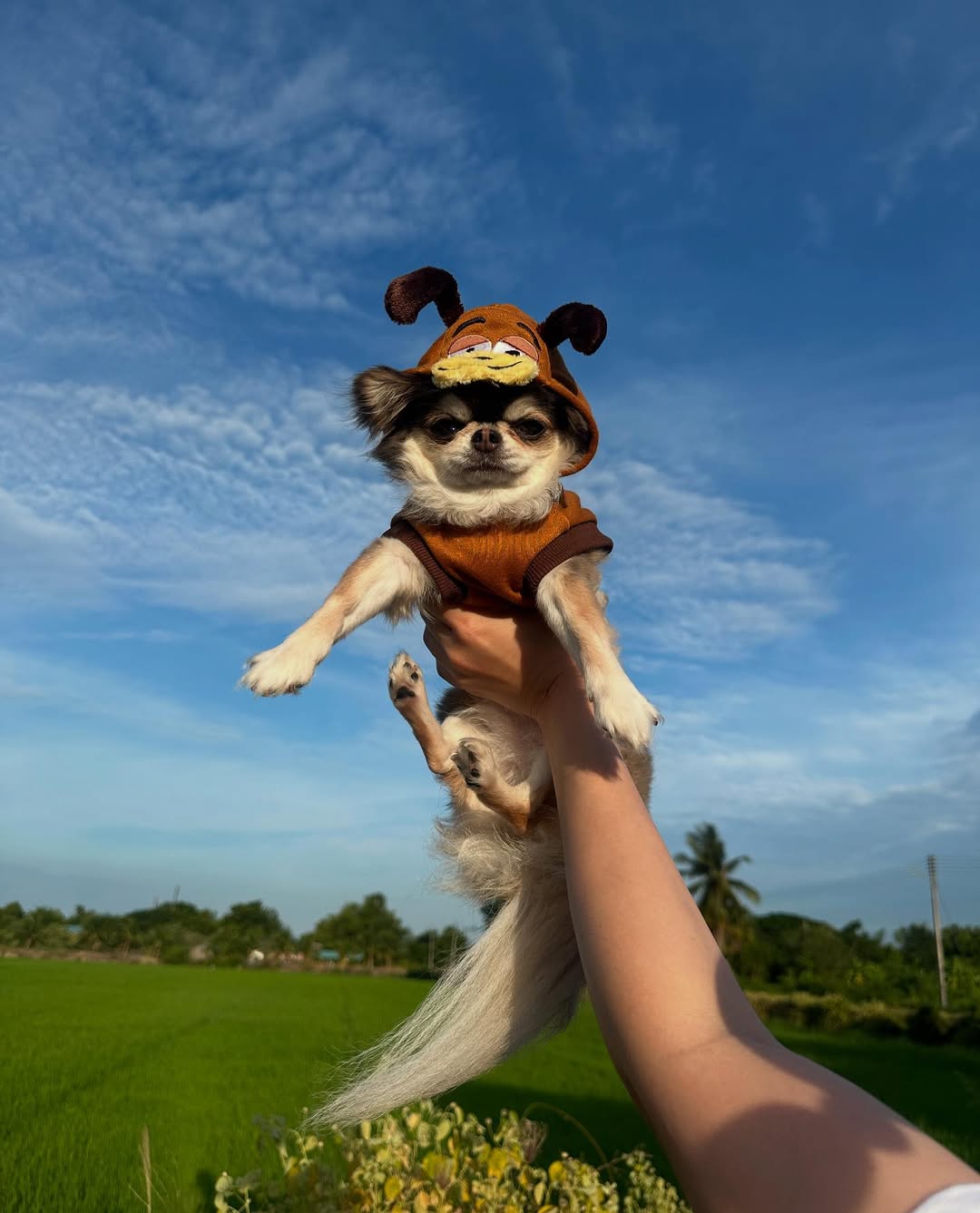 ติ๊นา - ศุภนาฎ จิตตลีลา