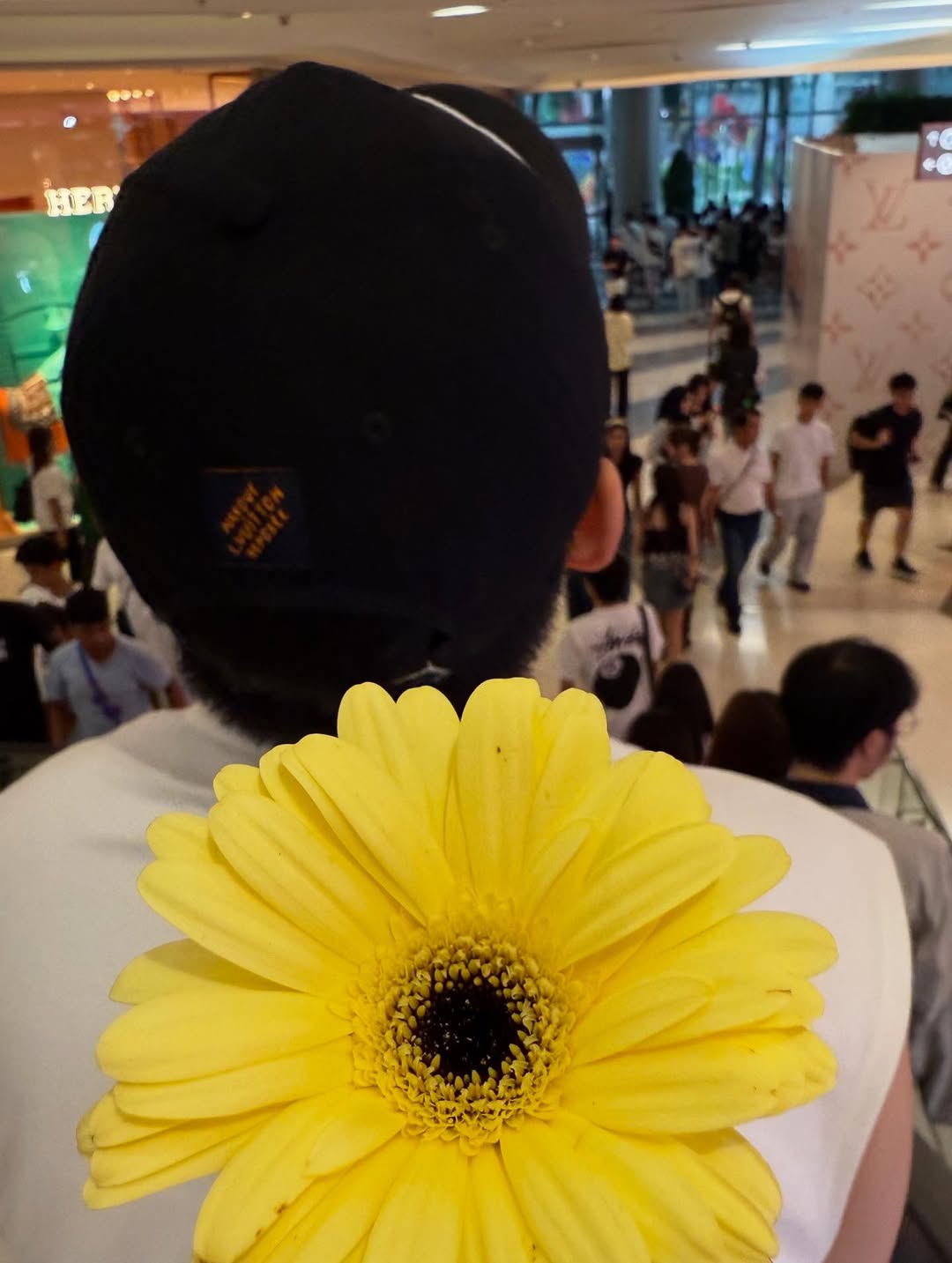 ติ๊นา - ศุภนาฎ จิตตลีลา