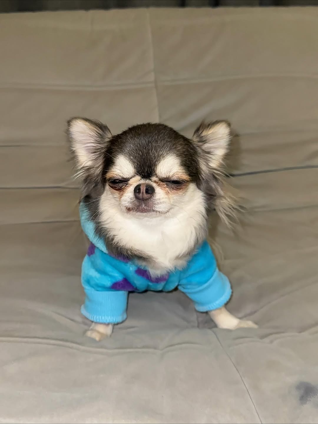 ติ๊นา - ศุภนาฎ จิตตลีลา