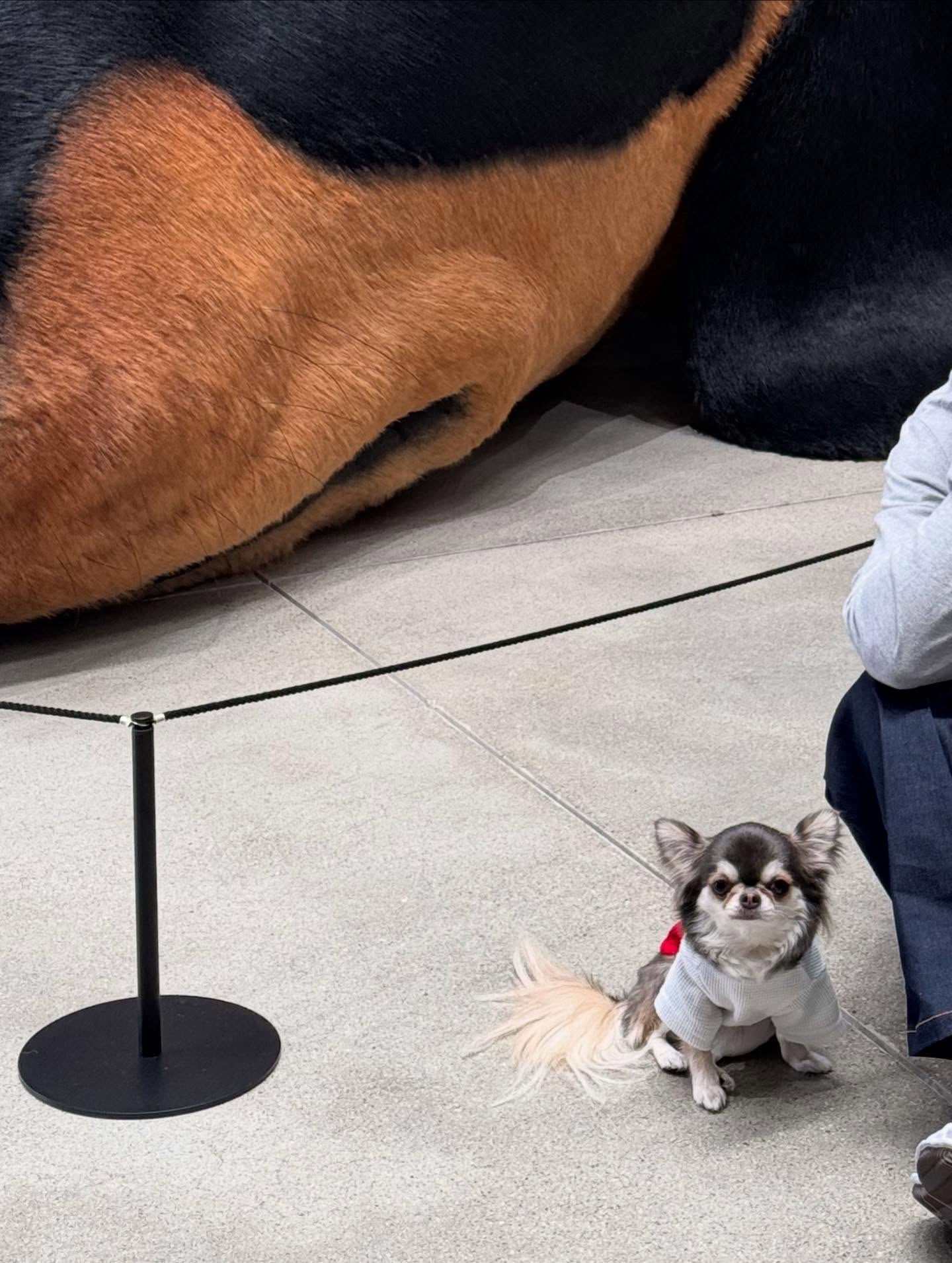 ติ๊นา - ศุภนาฎ จิตตลีลา