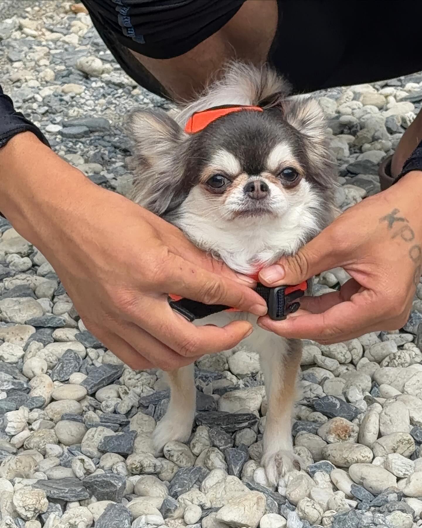 ติ๊นา - ศุภนาฎ จิตตลีลา