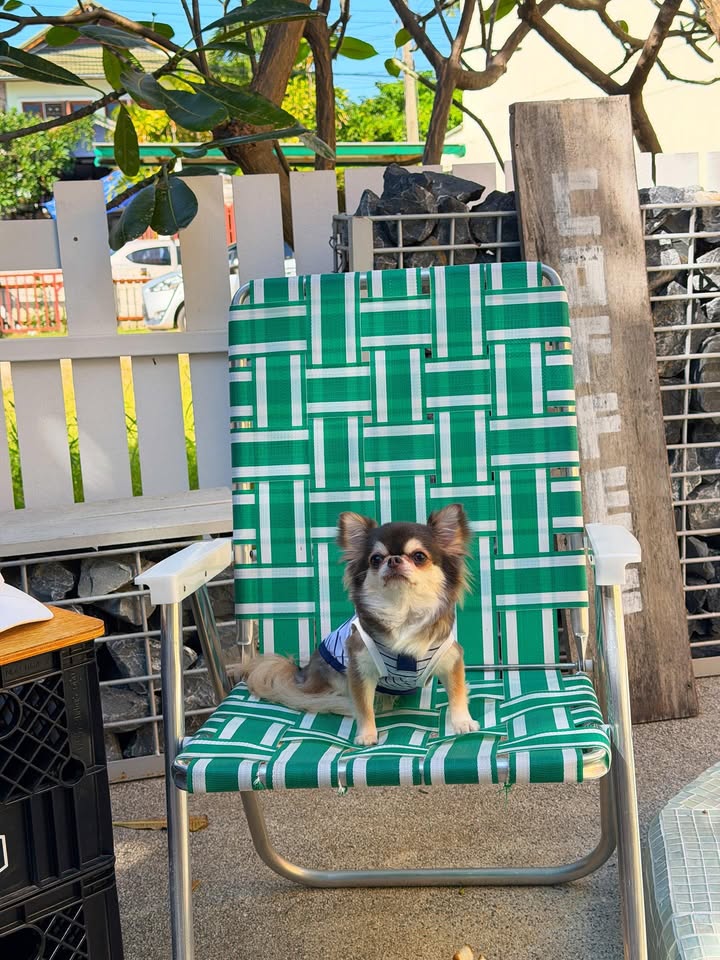 ติ๊นา - ศุภนาฎ จิตตลีลา