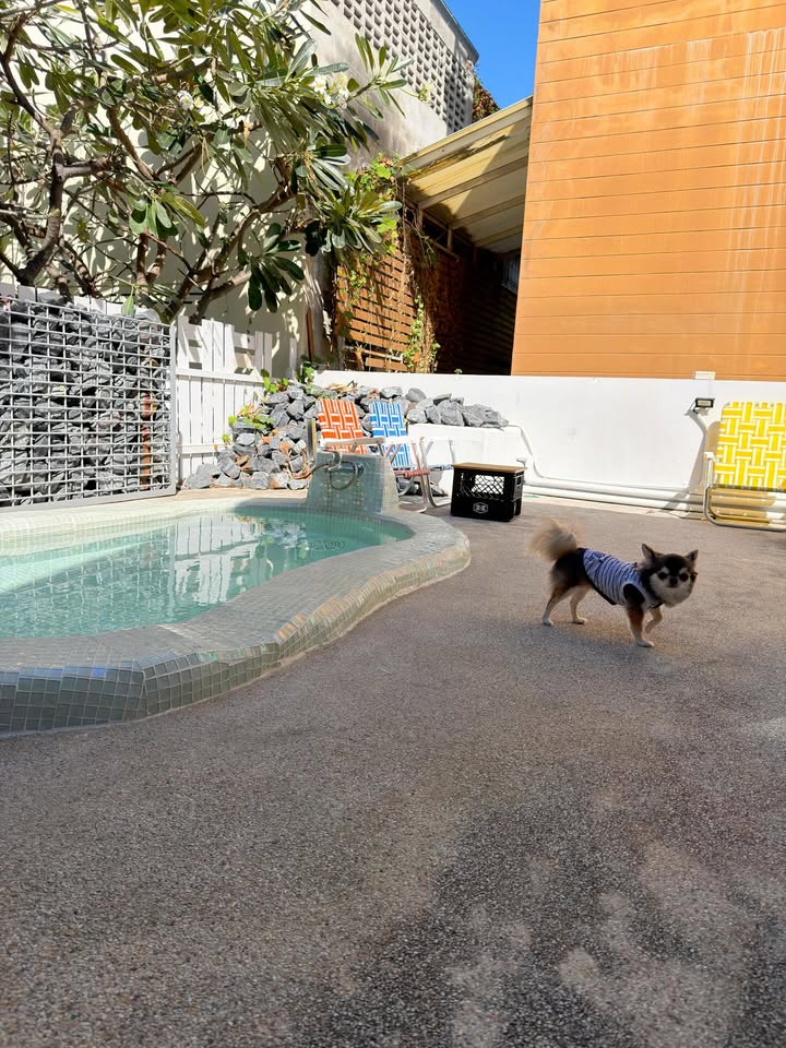 ติ๊นา - ศุภนาฎ จิตตลีลา