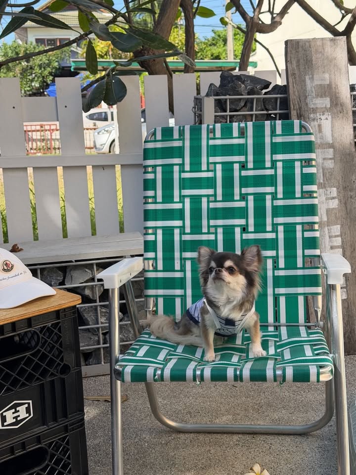 ติ๊นา - ศุภนาฎ จิตตลีลา