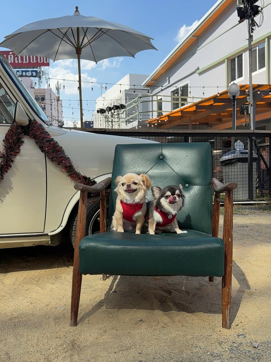 ติ๊นา - ศุภนาฎ จิตตลีลา