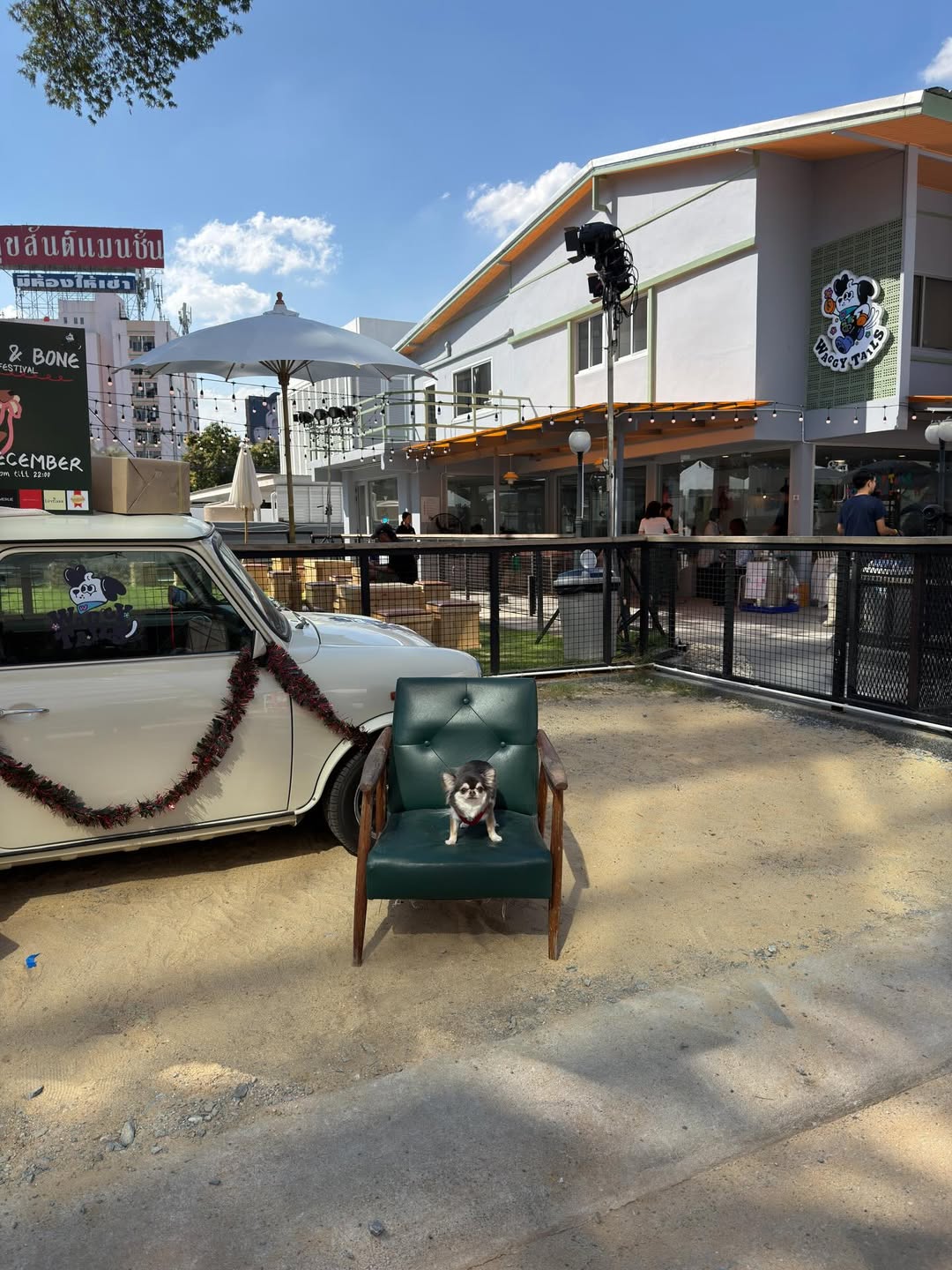 ติ๊นา - ศุภนาฎ จิตตลีลา