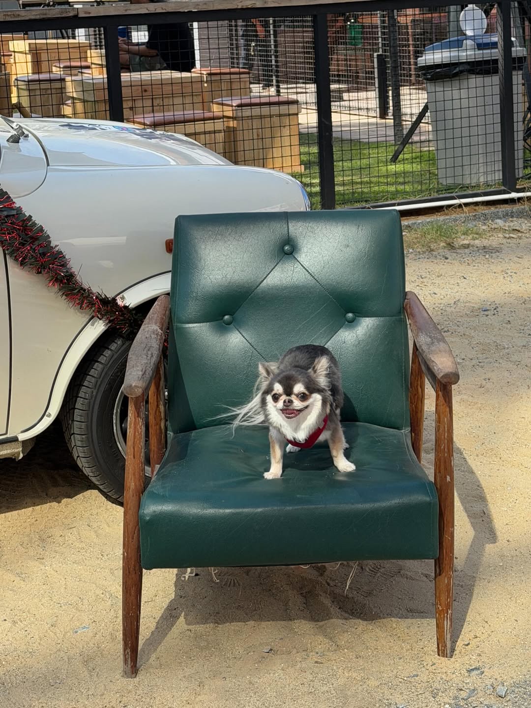 ติ๊นา - ศุภนาฎ จิตตลีลา