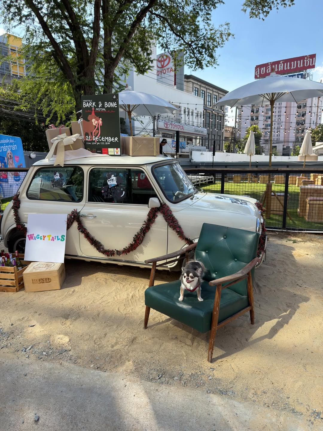 ติ๊นา - ศุภนาฎ จิตตลีลา