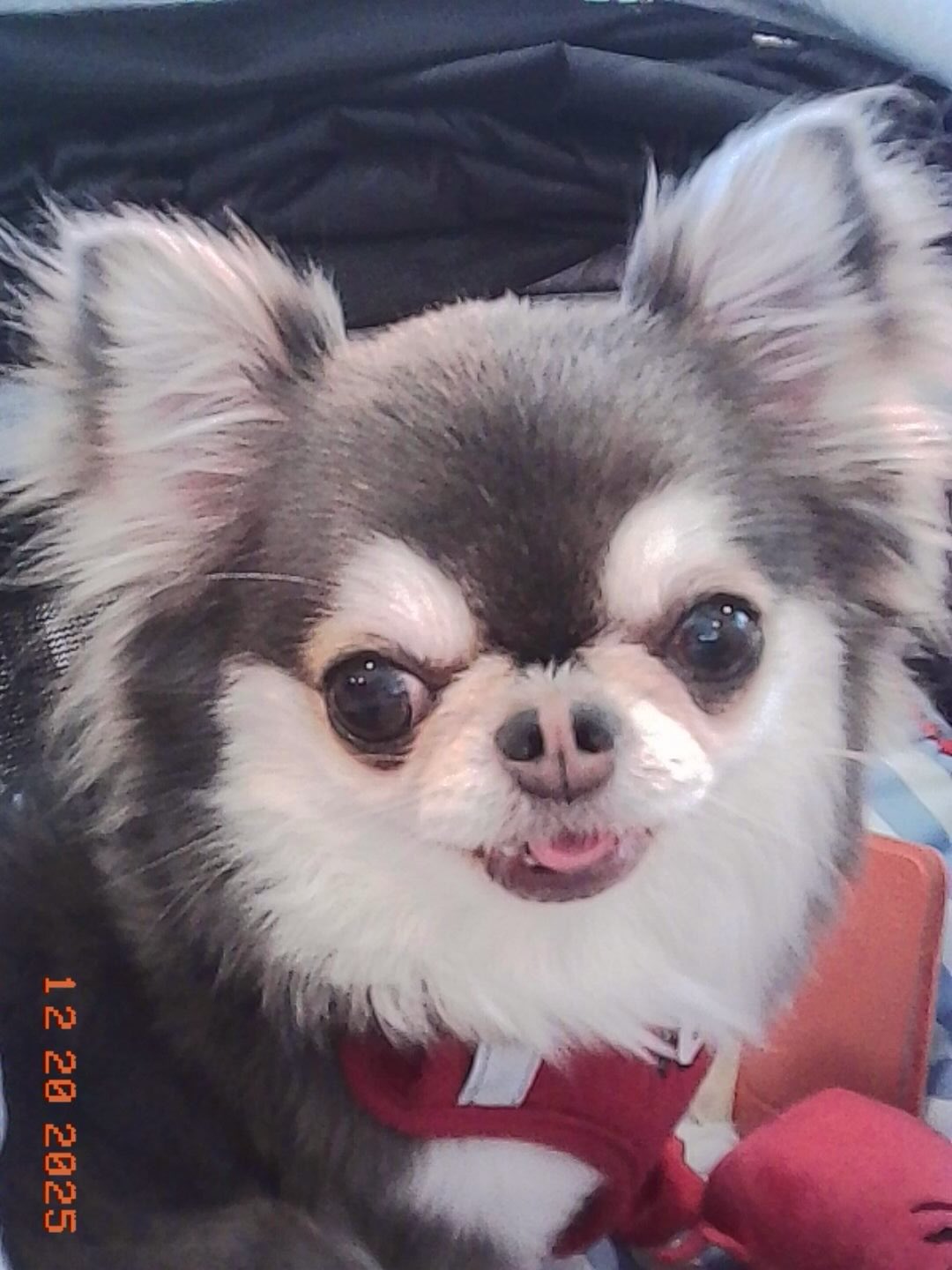 ติ๊นา - ศุภนาฎ จิตตลีลา