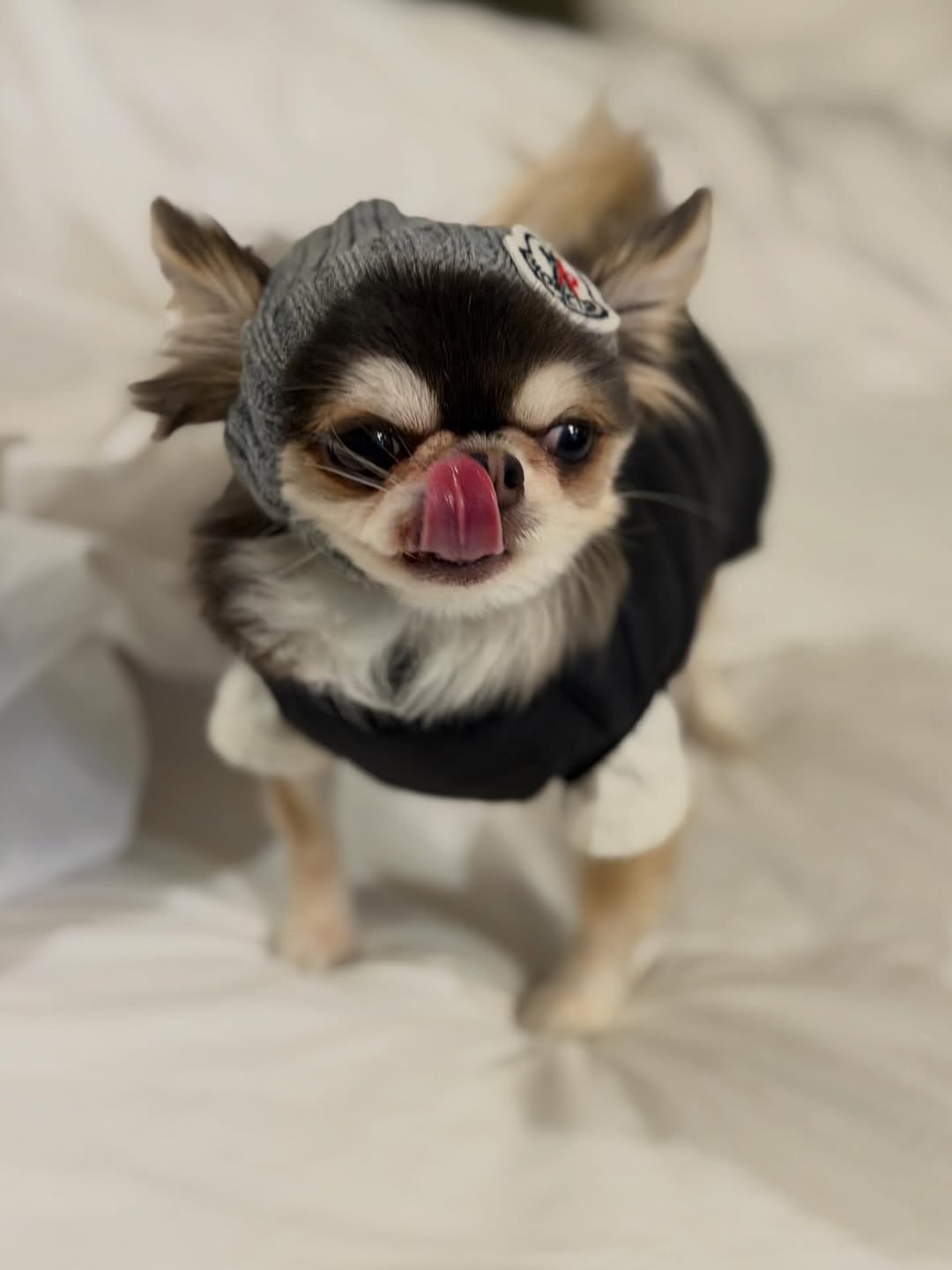 ติ๊นา - ศุภนาฎ จิตตลีลา