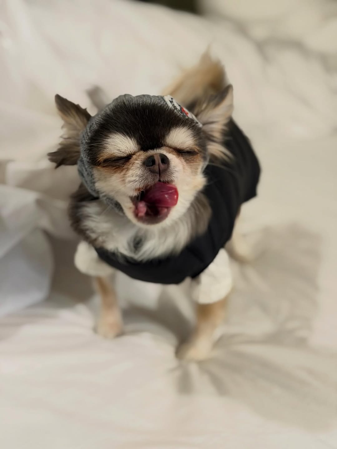 ติ๊นา - ศุภนาฎ จิตตลีลา