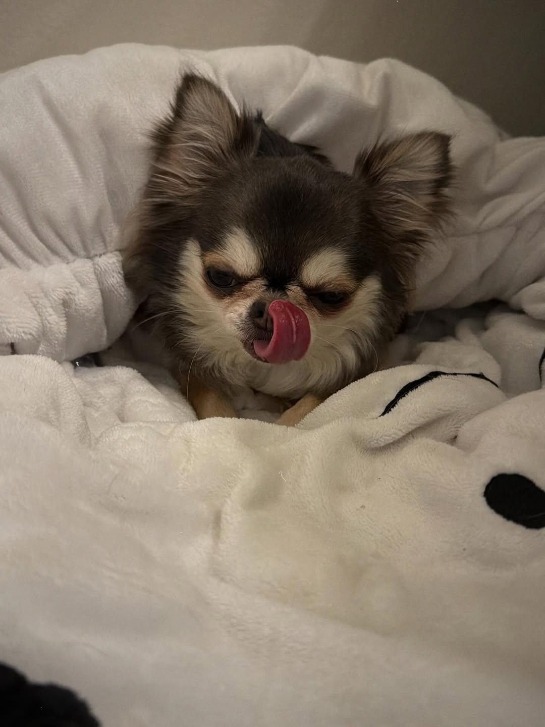 ติ๊นา - ศุภนาฎ จิตตลีลา