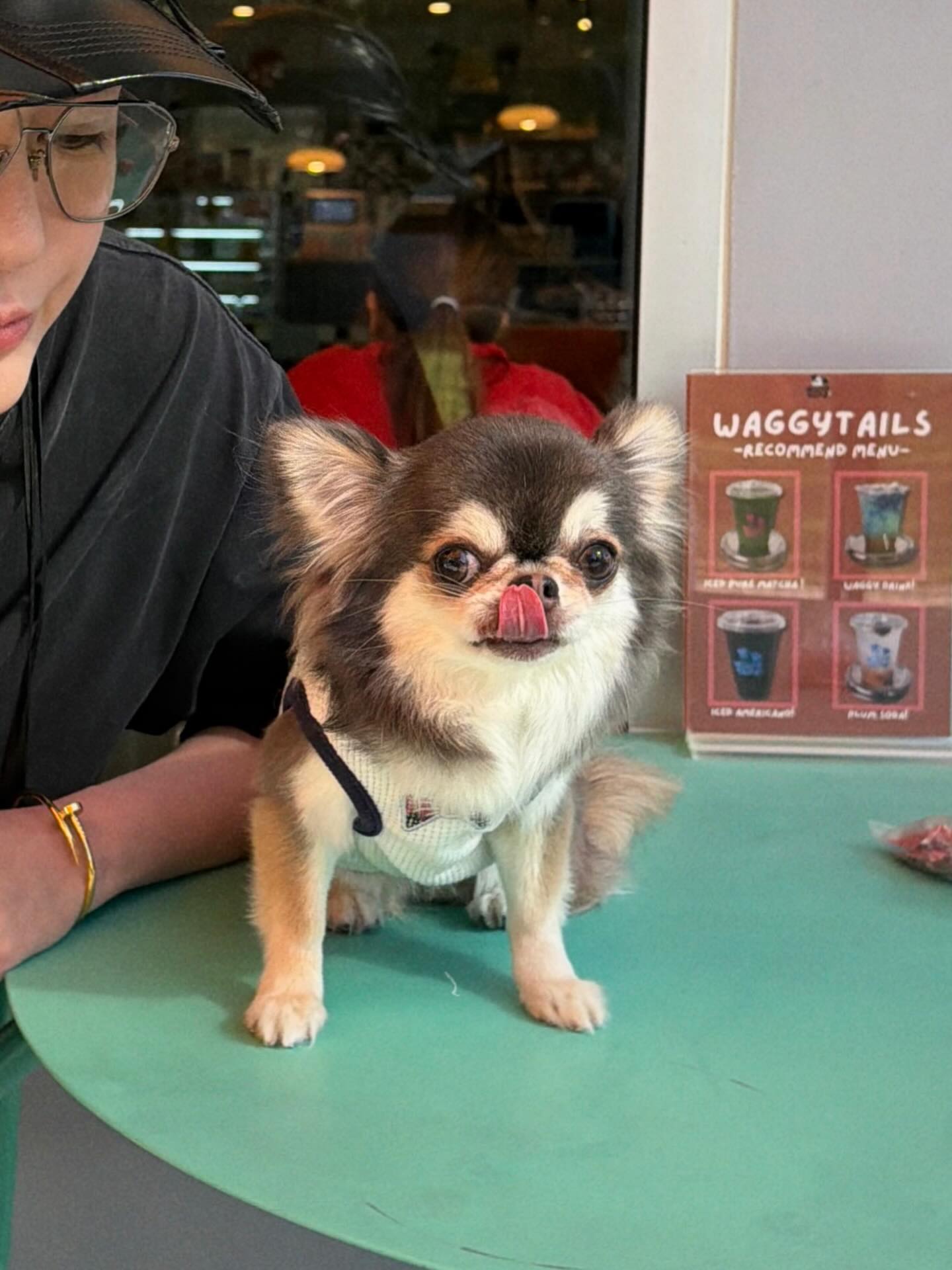 ติ๊นา - ศุภนาฎ จิตตลีลา