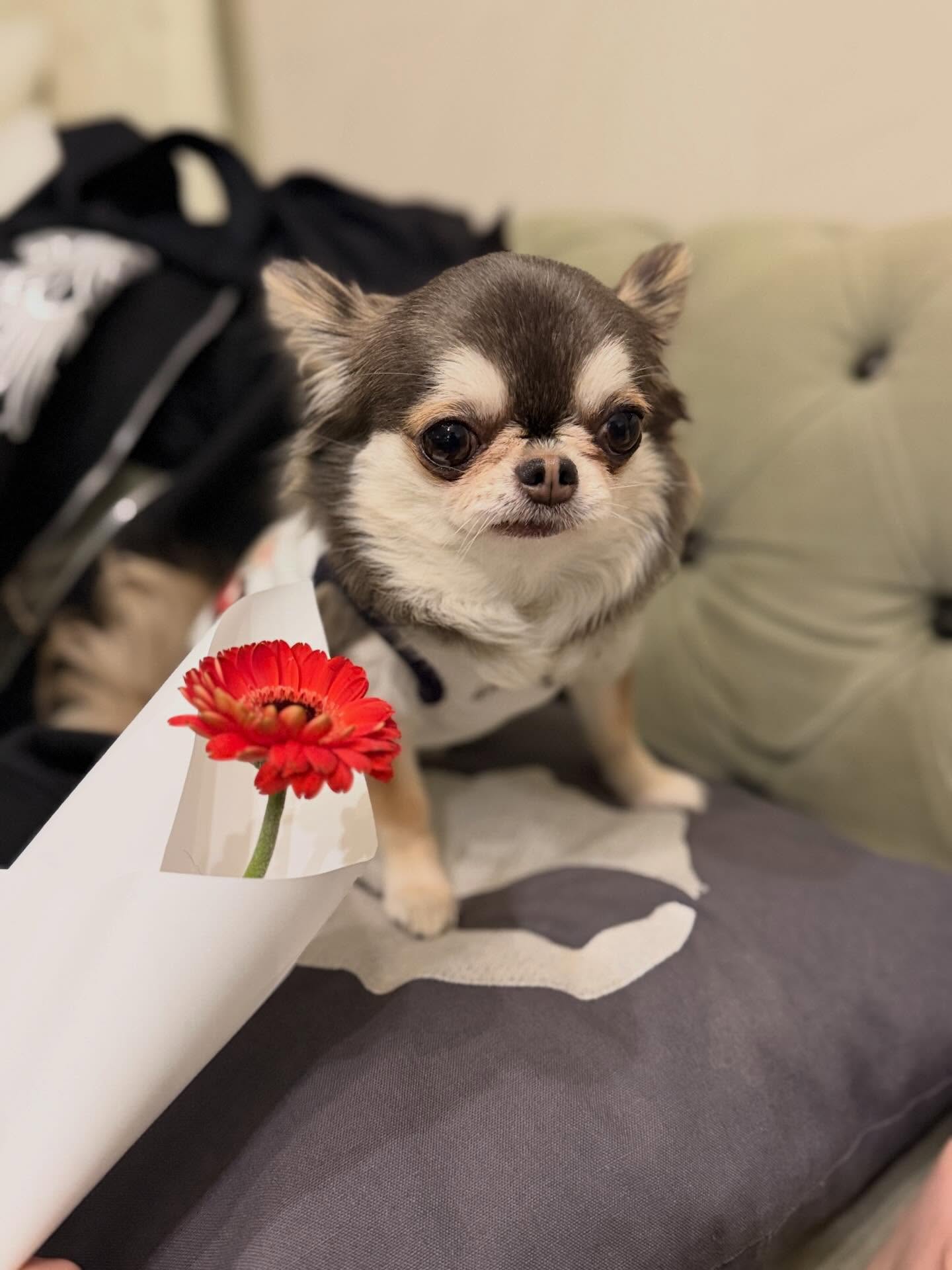 ติ๊นา - ศุภนาฎ จิตตลีลา