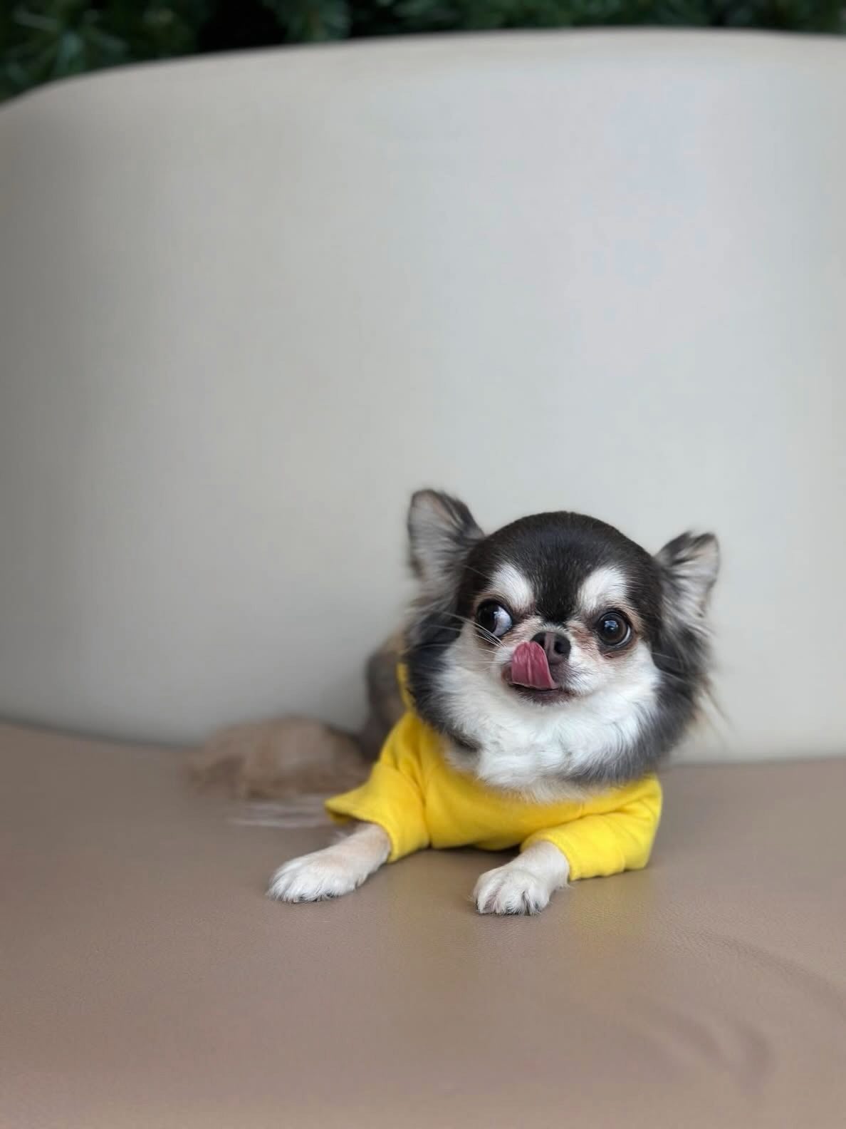 ติ๊นา - ศุภนาฎ จิตตลีลา