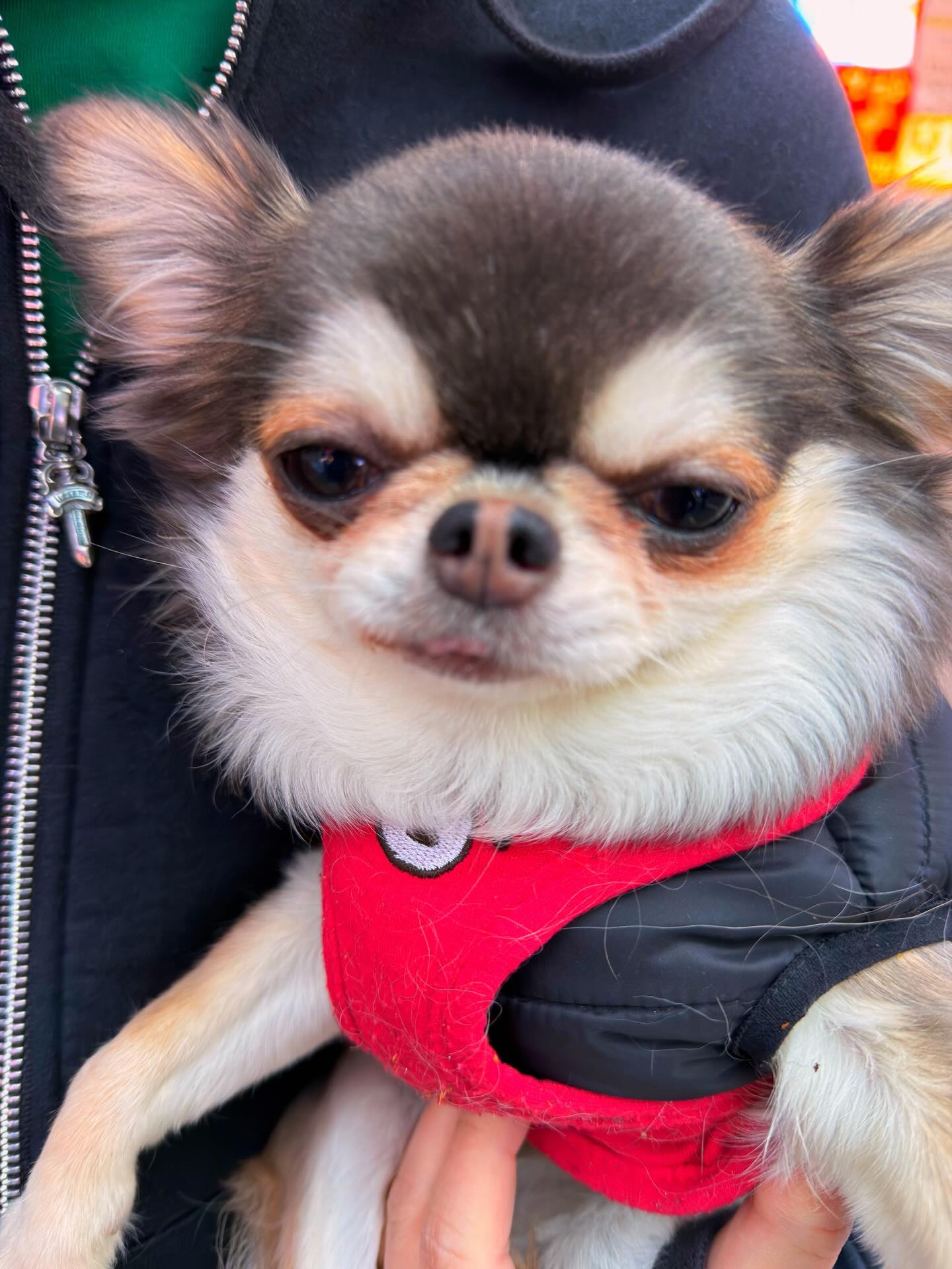 ติ๊นา - ศุภนาฎ จิตตลีลา