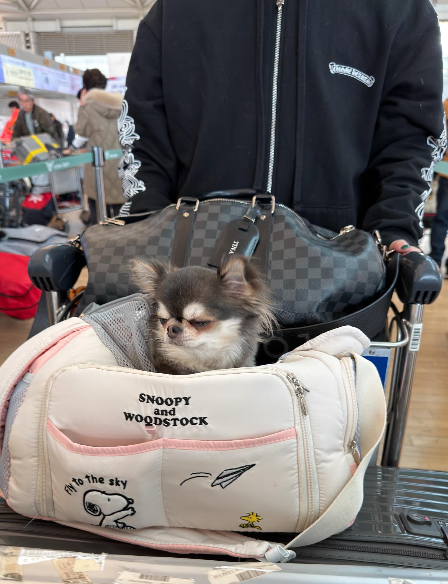 ติ๊นา - ศุภนาฎ จิตตลีลา