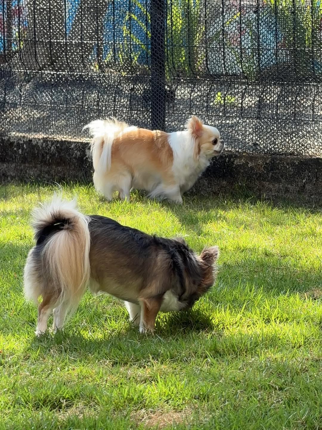 ติ๊นา - ศุภนาฎ จิตตลีลา