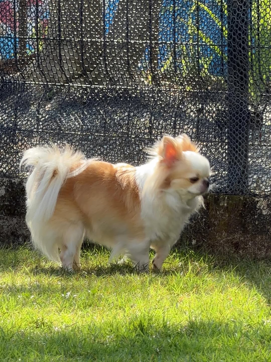 ติ๊นา - ศุภนาฎ จิตตลีลา