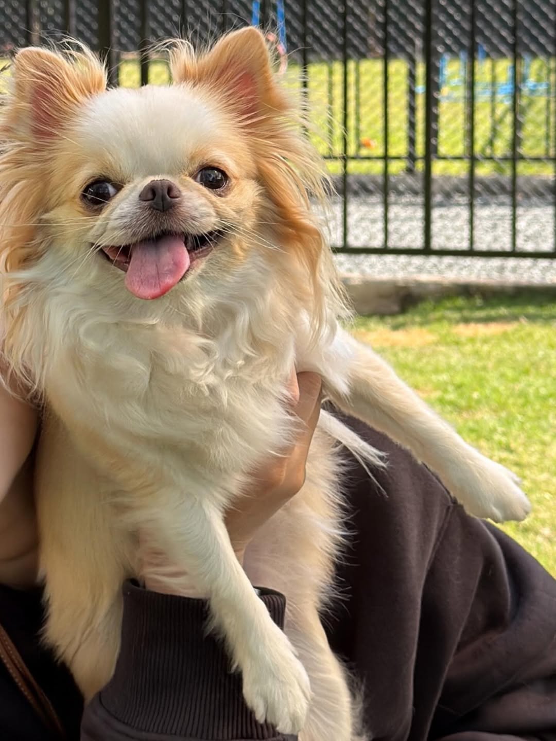 ติ๊นา - ศุภนาฎ จิตตลีลา