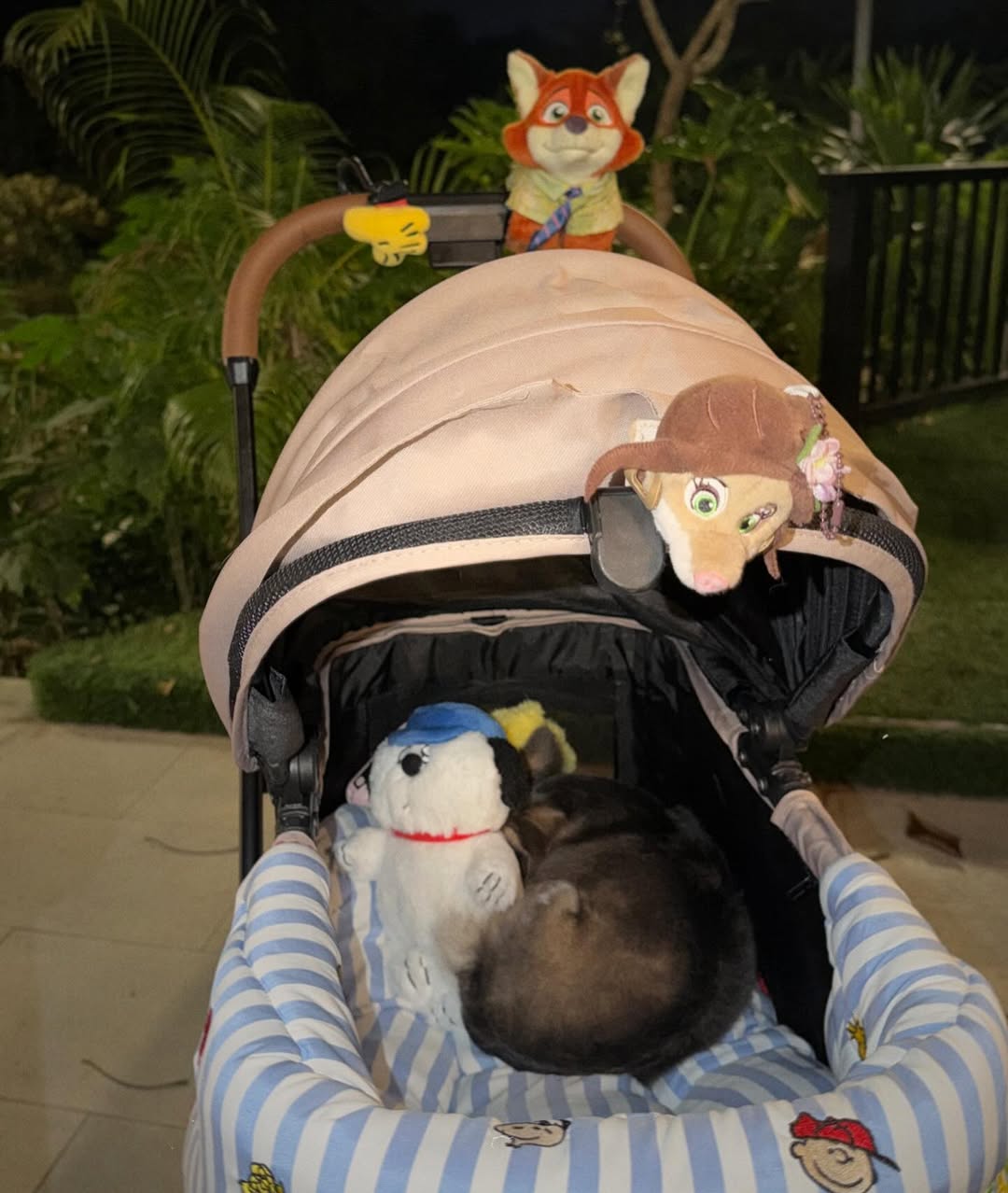 ติ๊นา - ศุภนาฎ จิตตลีลา