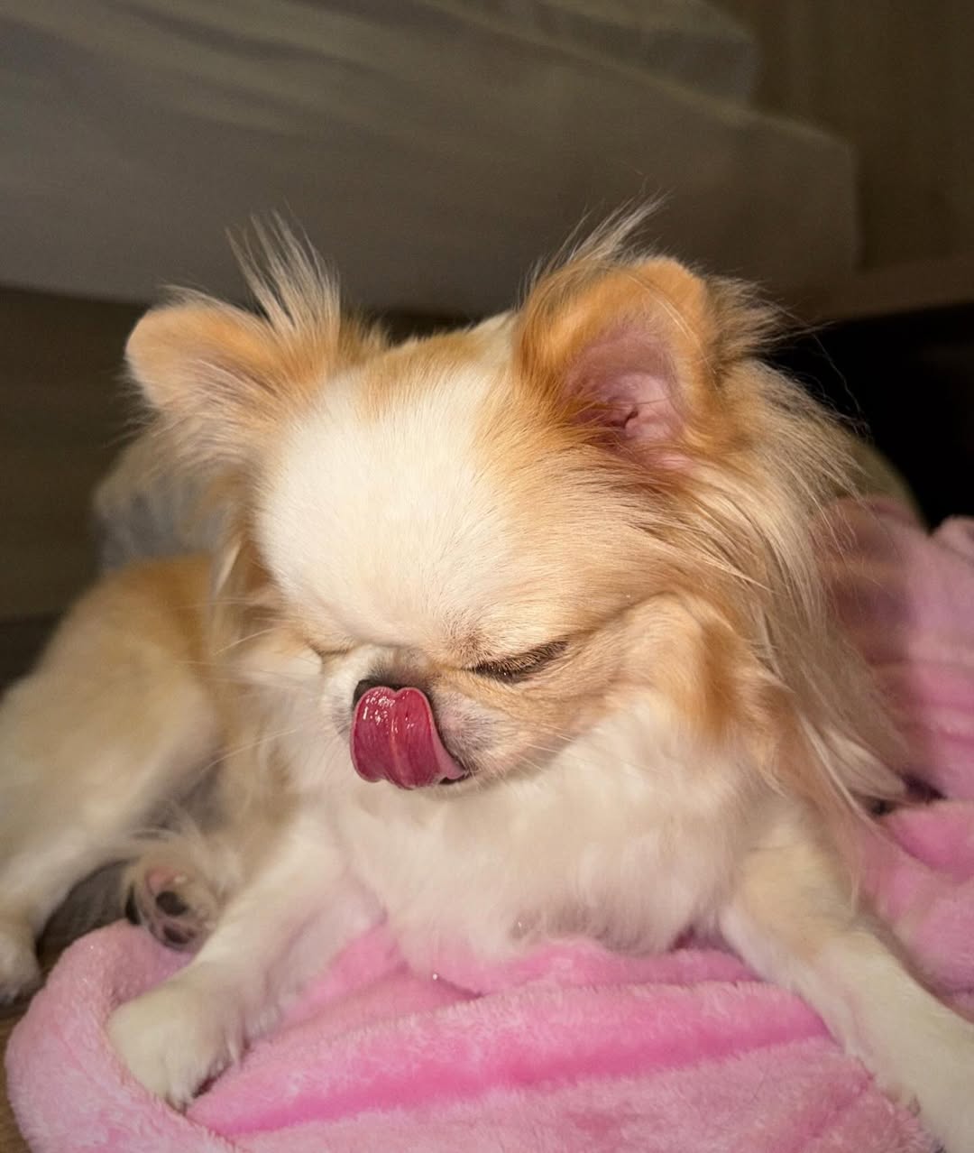 ติ๊นา - ศุภนาฎ จิตตลีลา