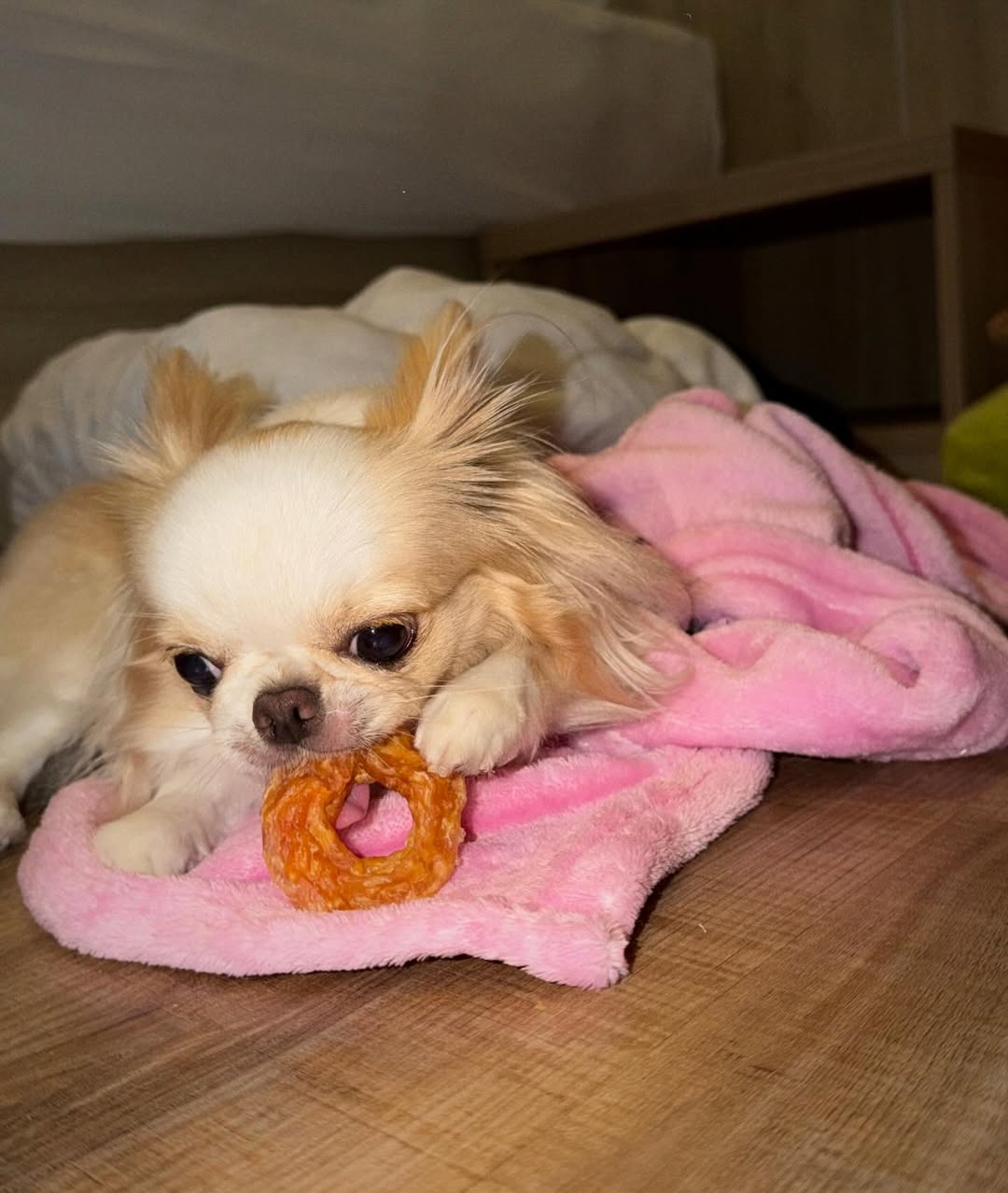 ติ๊นา - ศุภนาฎ จิตตลีลา