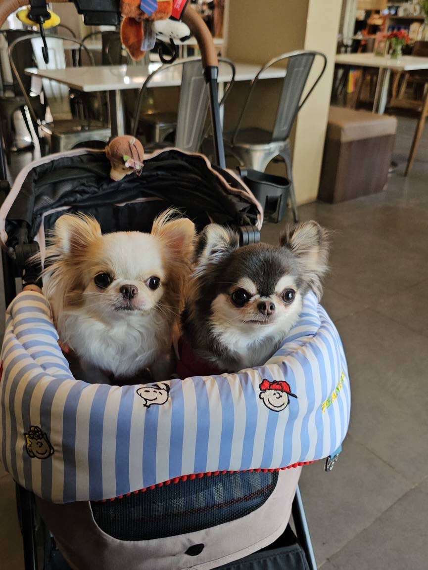 ติ๊นา - ศุภนาฎ จิตตลีลา