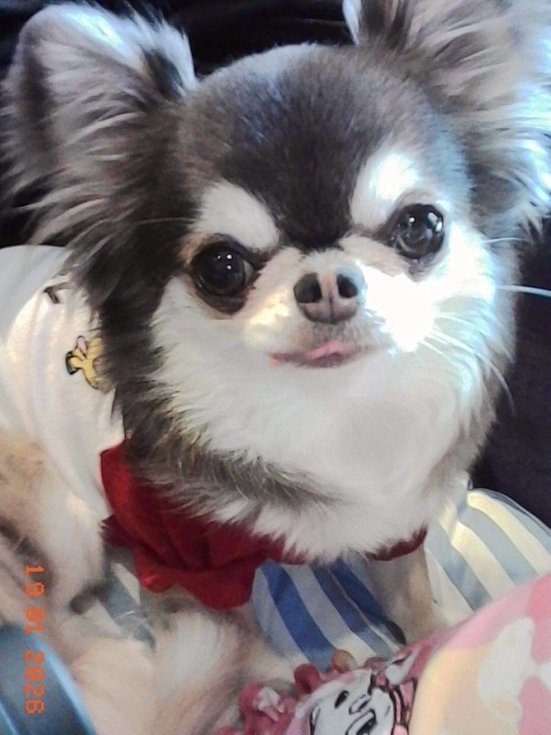 ติ๊นา - ศุภนาฎ จิตตลีลา