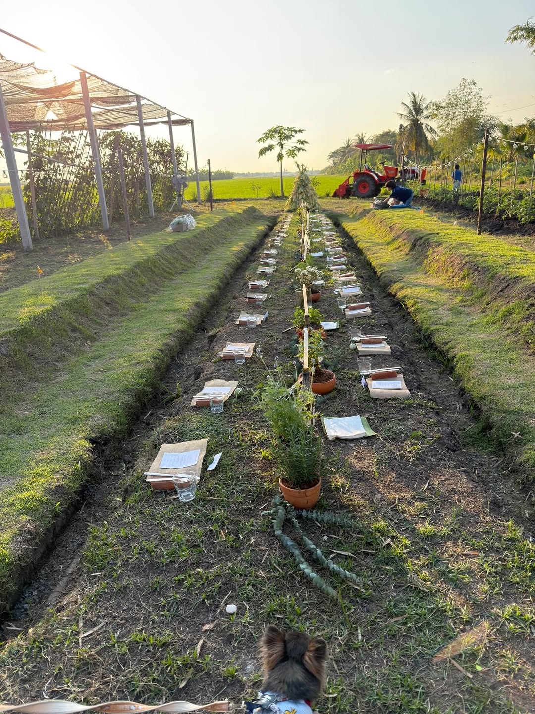 ติ๊นา - ศุภนาฎ จิตตลีลา