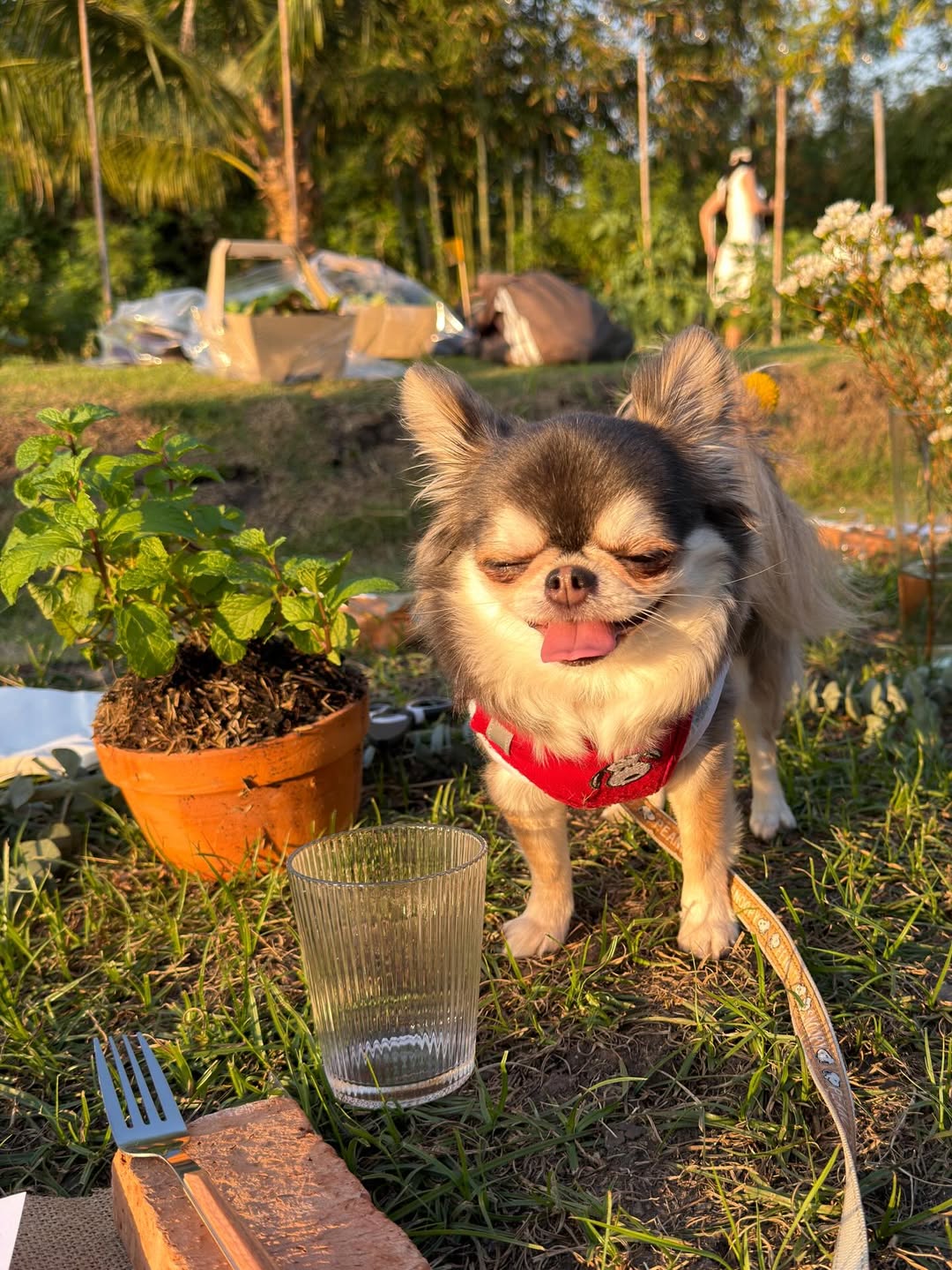 ติ๊นา - ศุภนาฎ จิตตลีลา