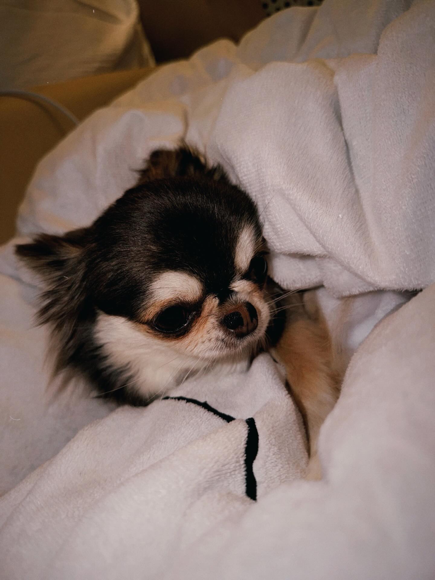 ติ๊นา - ศุภนาฎ จิตตลีลา