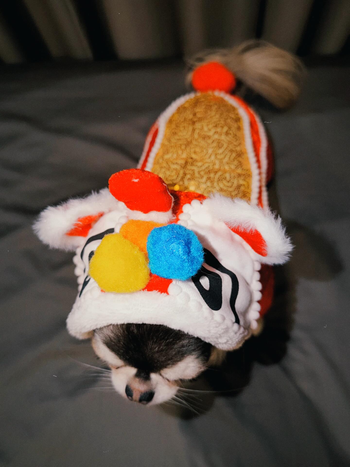 ติ๊นา - ศุภนาฎ จิตตลีลา