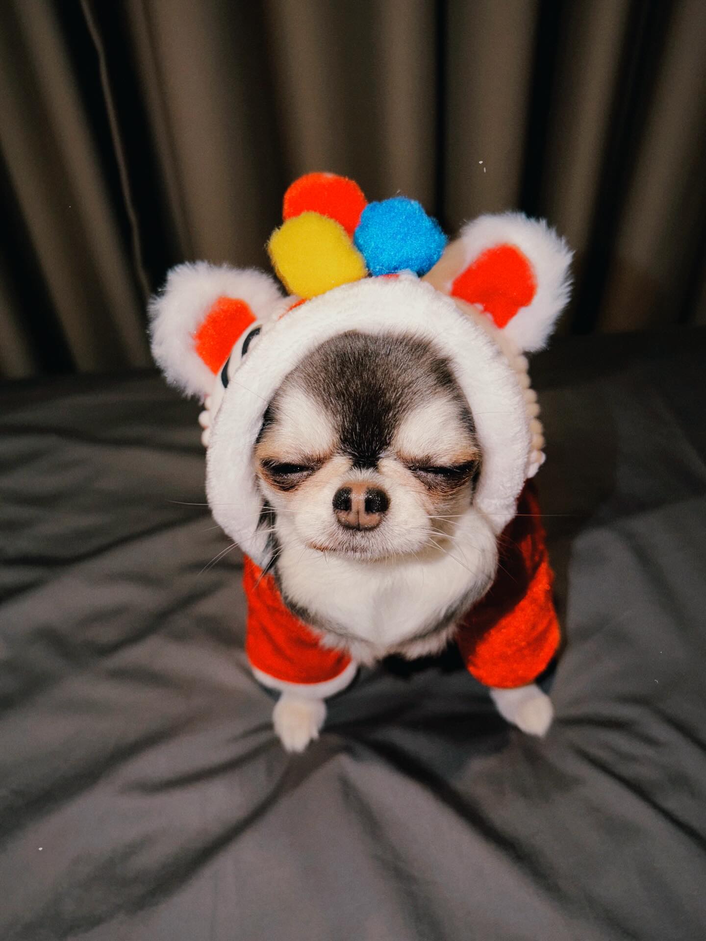 ติ๊นา - ศุภนาฎ จิตตลีลา