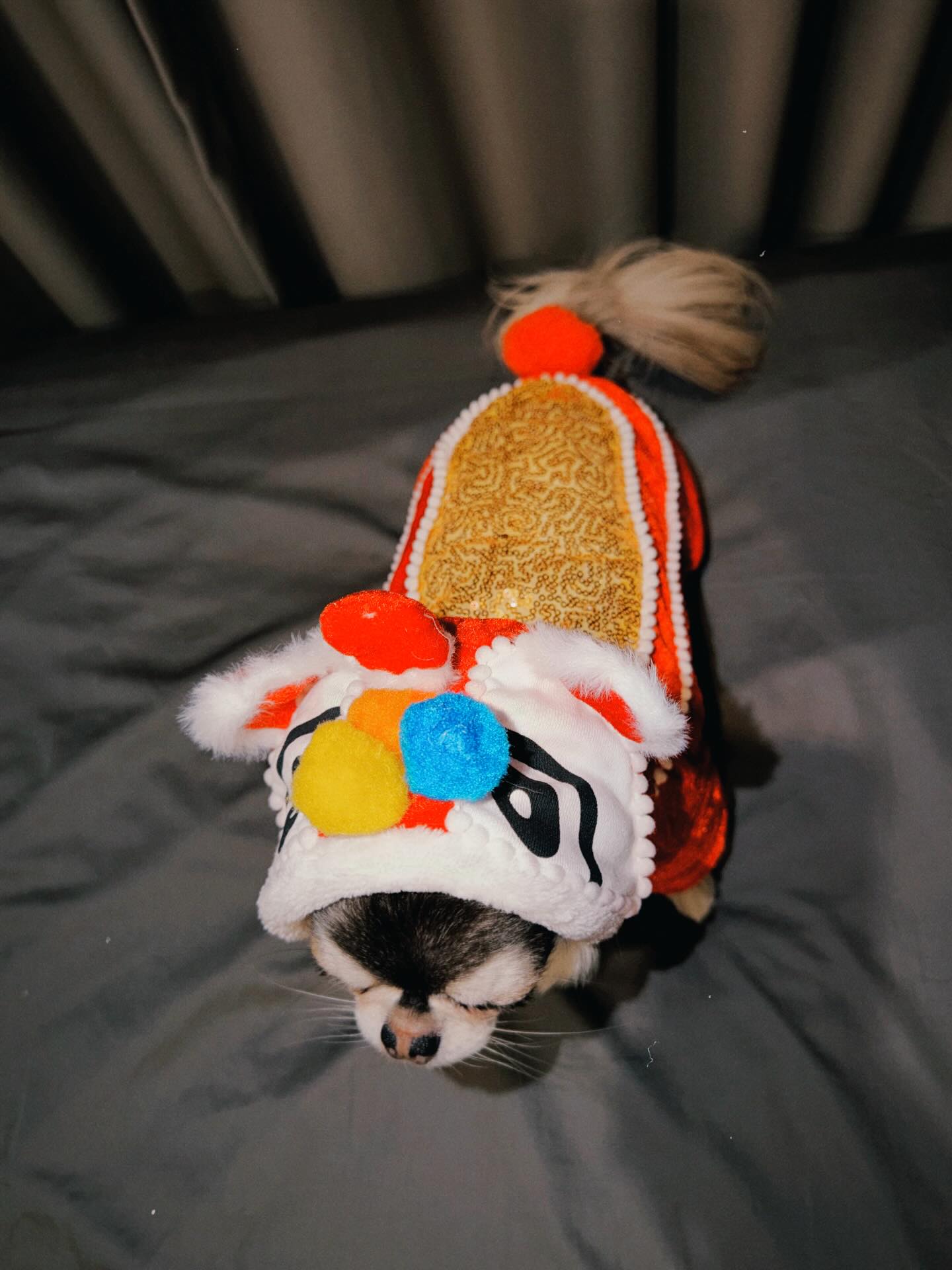 ติ๊นา - ศุภนาฎ จิตตลีลา