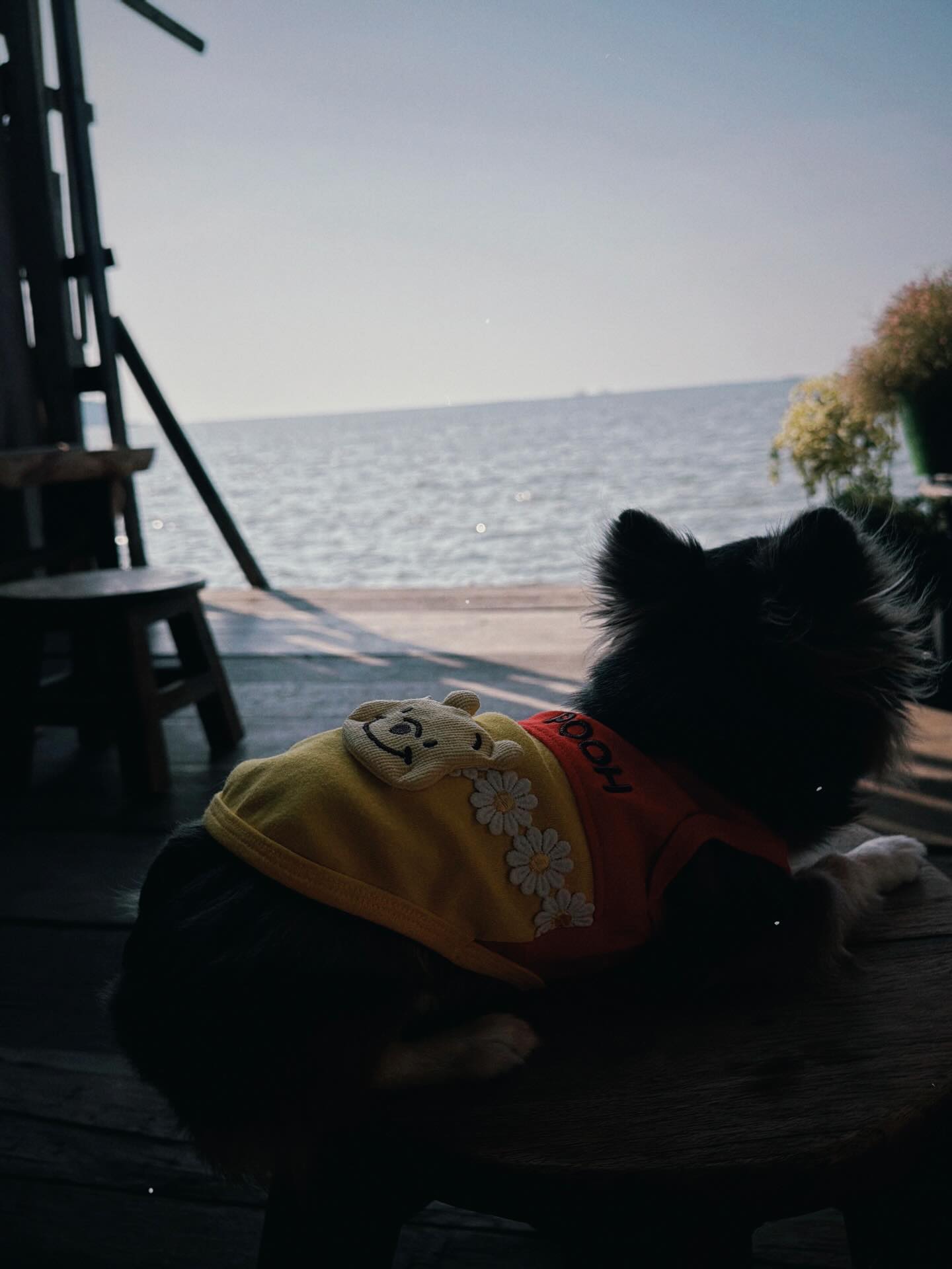 ติ๊นา - ศุภนาฎ จิตตลีลา