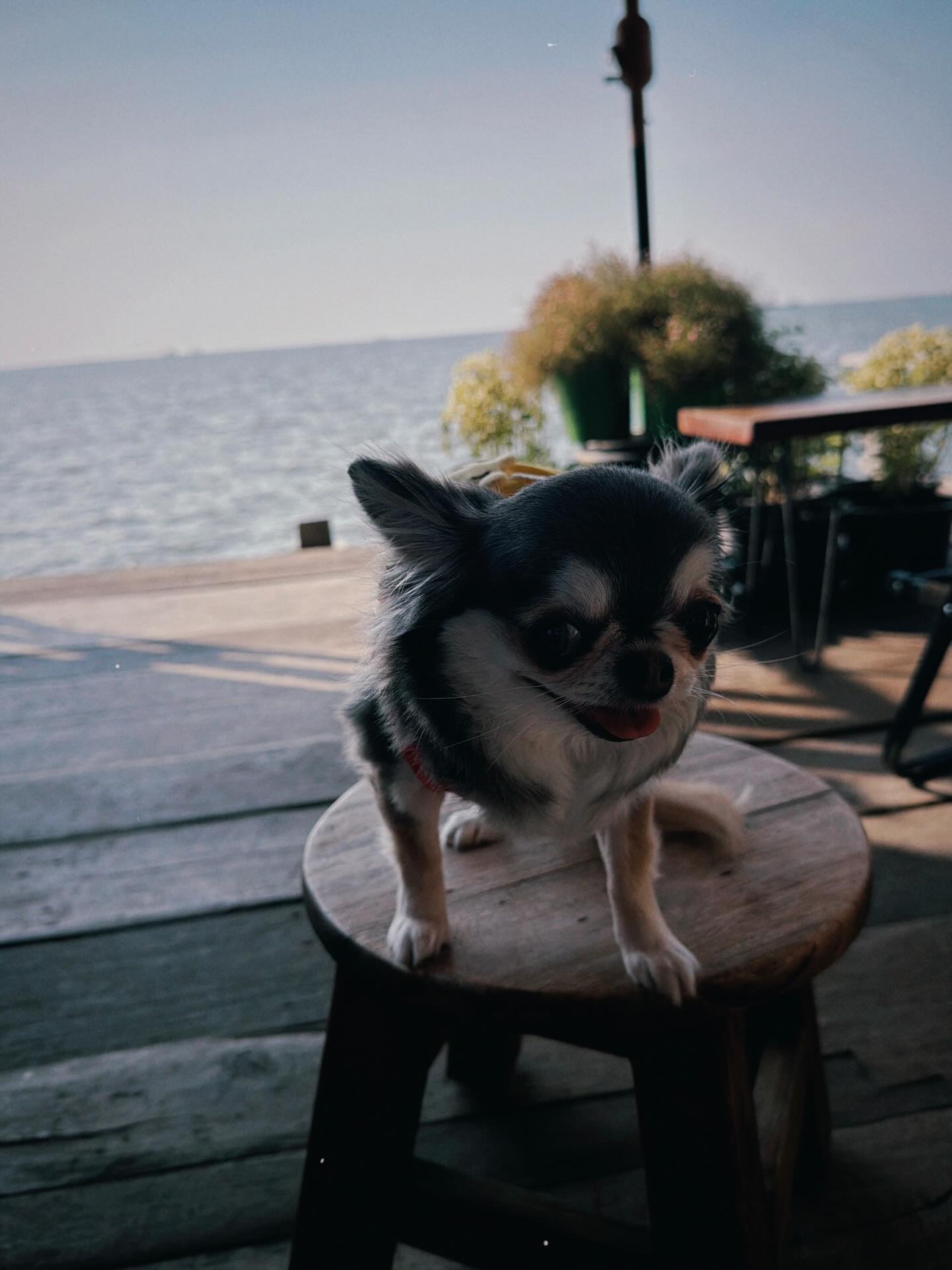 ติ๊นา - ศุภนาฎ จิตตลีลา